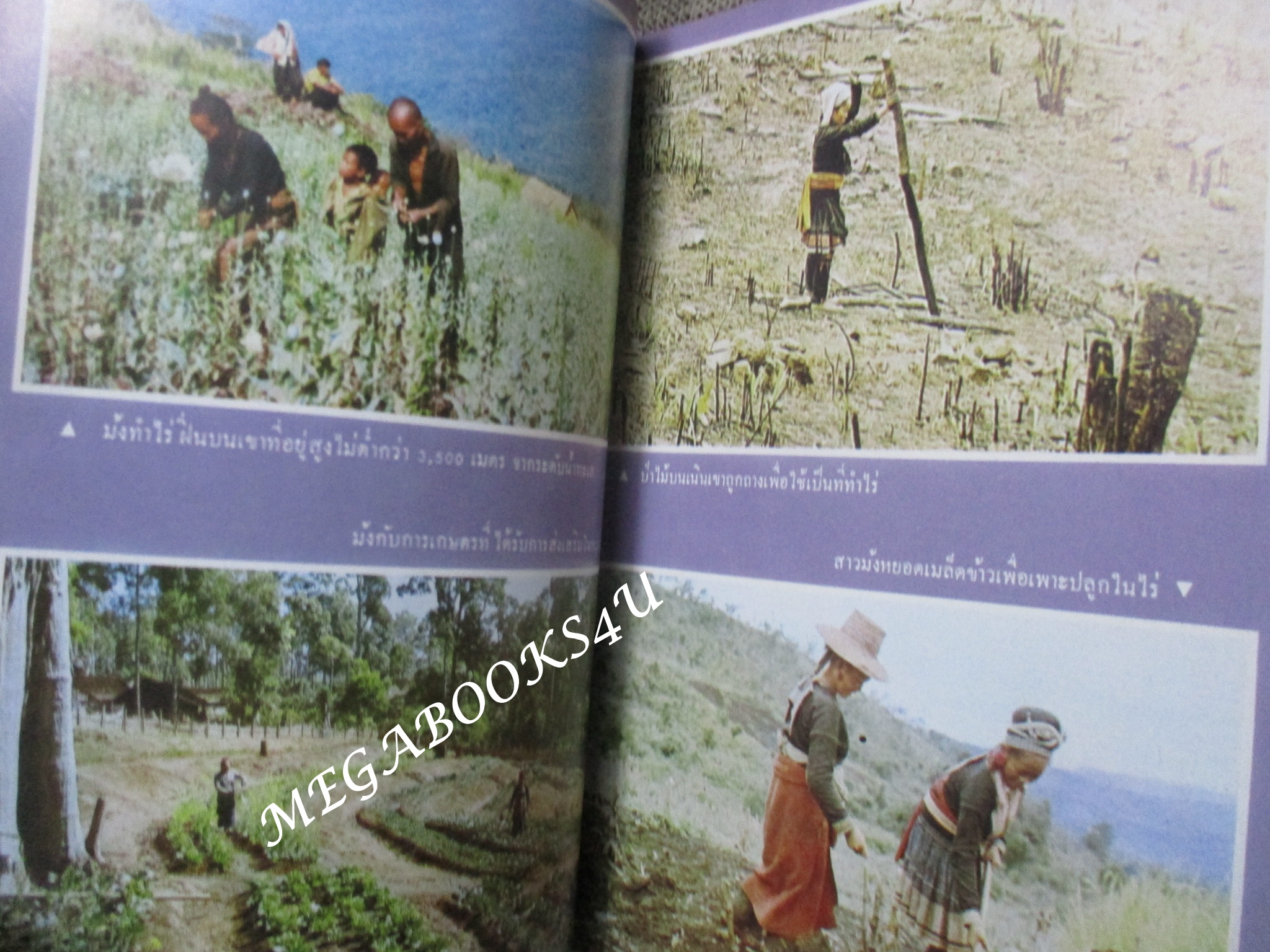 ชาวเขาเผ่า ม้ง โดย สำนักงานเลขานุการคณะกรรมการปฏิบัติการจิตวิทยาแห่งชาติ