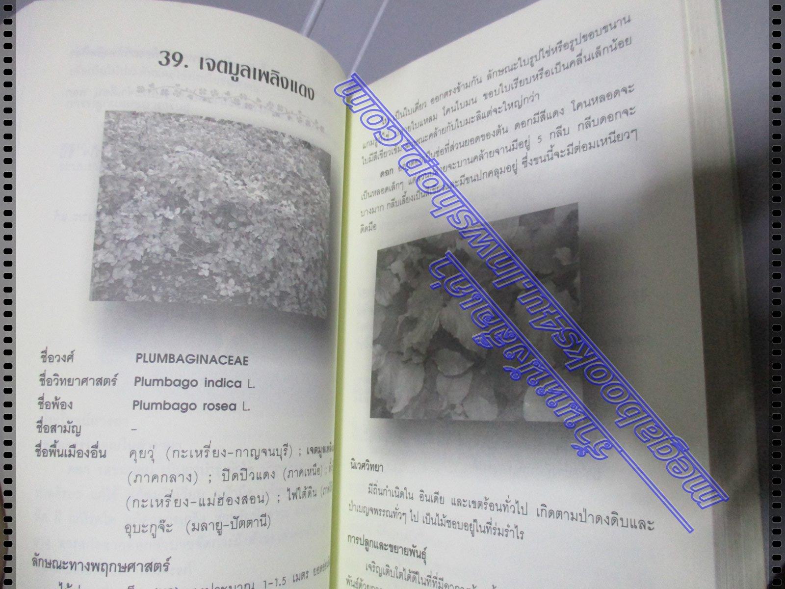 รักษาโรคด้วยสมุนไพรใกล้ตัว โดย อ.โชติอนันต์ และคณะ มีคราบน้ำจางๆ