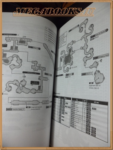 คู่มือเกมส์ FINAL FANTASY XII สภาพดี หนามาก 514หน้า
