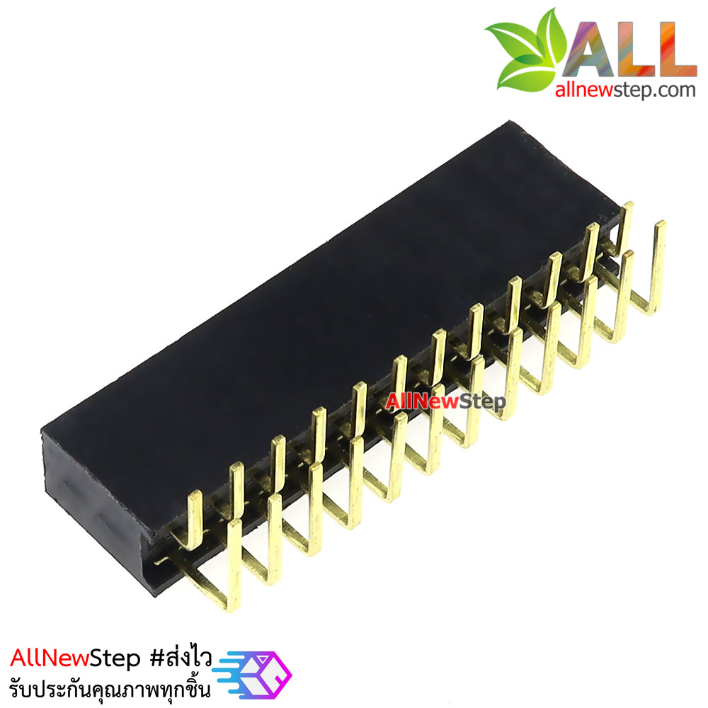 ขาก้างปลาตัวเมียแบบฉาก 2x12 ขา Double Row Hole Jack 2x12PIN Header 2.54mm