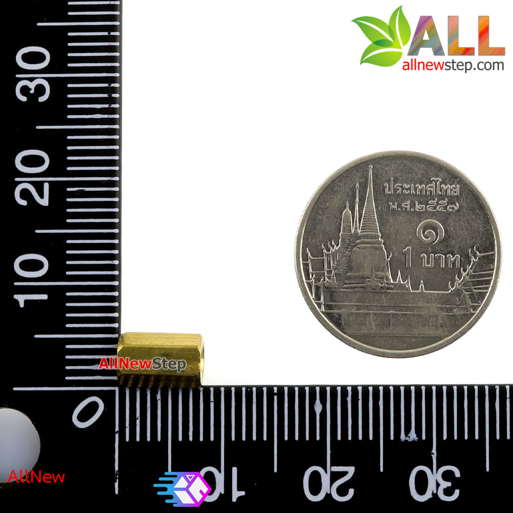 Pillars Nut M3 น็อตตัวเมีย ทองเหลืองยาว 8mm nut m3 8mm