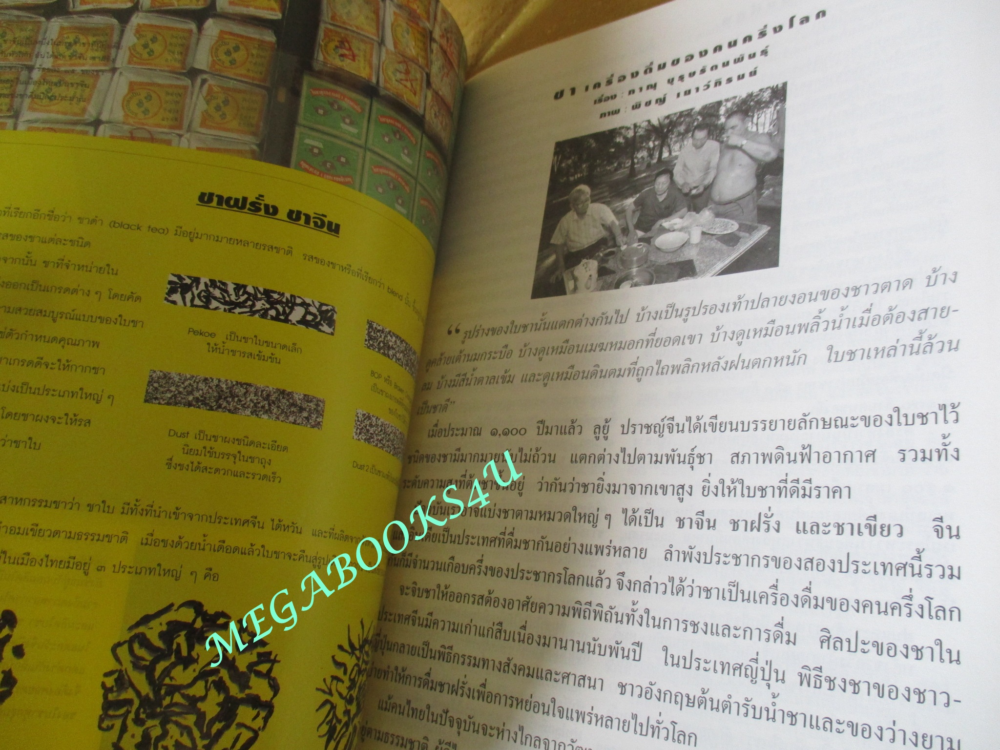 นิตยสารสารคดี ฉบับที่115 กันยายน 2537 ;โรงเรียนพึ่งตนเอง,ชา,ซานฟรานซิสโก,ปราจีนบุรี,