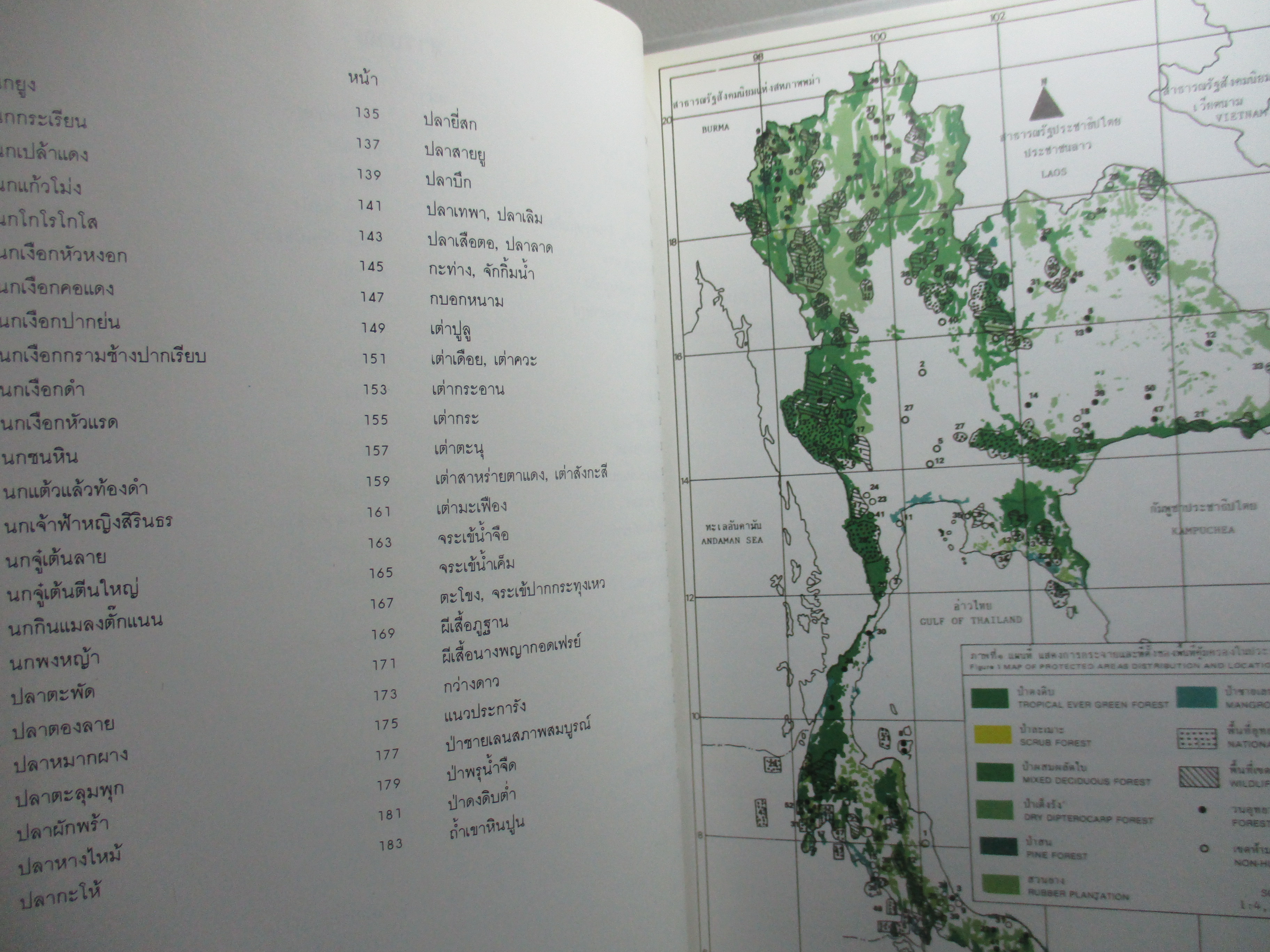 หนังสือภาพสี พืชและสัตว์ที่ใกล้จะสูญพันธุ์ในประเทศไทย โดย สถาบันวิจัยวิทยาศาสตร์และเทคโนโลยีแห่งประเทศไทย (มือสอง) (สภาพ85-95%)