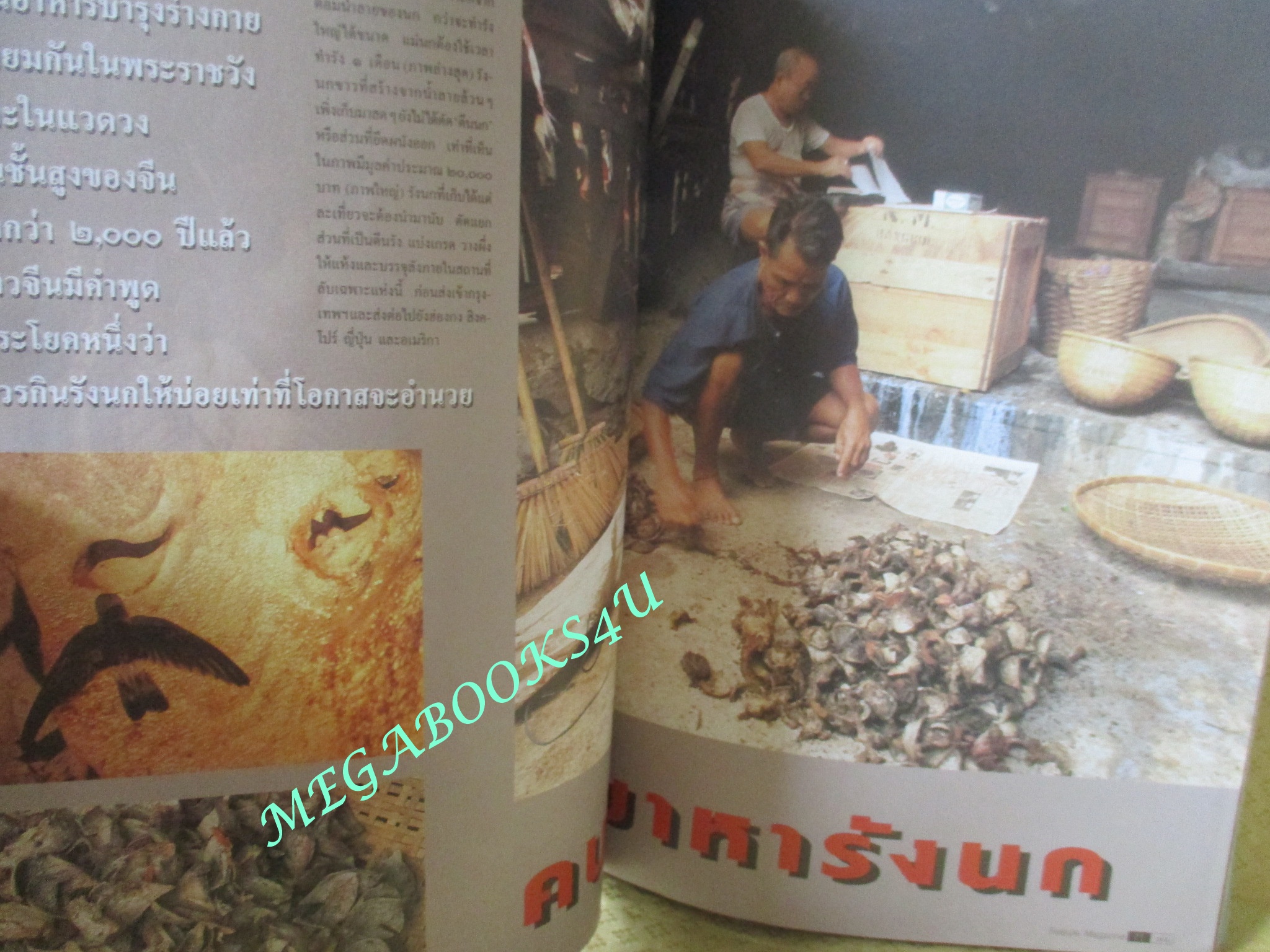 นิตยสารสารคดี ฉบับที่083 ปี2535 คนหารังนก รังนกนางแอ่น สิบล้อกับยาบ้า แมลงกลางคืน