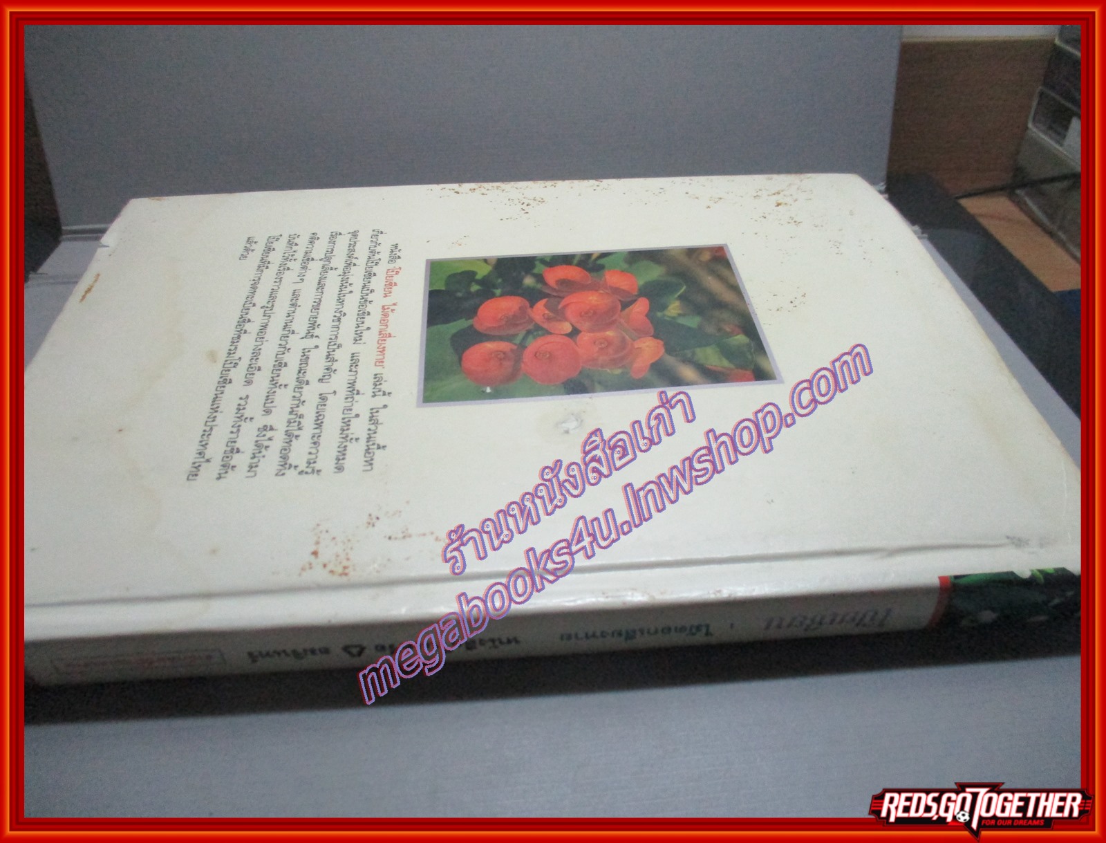 โป๊ยเซียน ไม้ดอกเสี่ยงทาย เล่ม1 โดย อุไร จิรมงคลการ