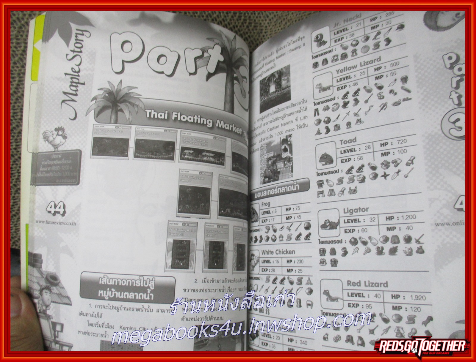 หนังสือคู่มือเกมส์ MAPLESTORY / หมู่บ้านตลาดน้ำ