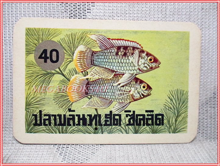 บัตรภาพธนาคารออมสิน ชุดปลาเลี้ยงสวยงาม