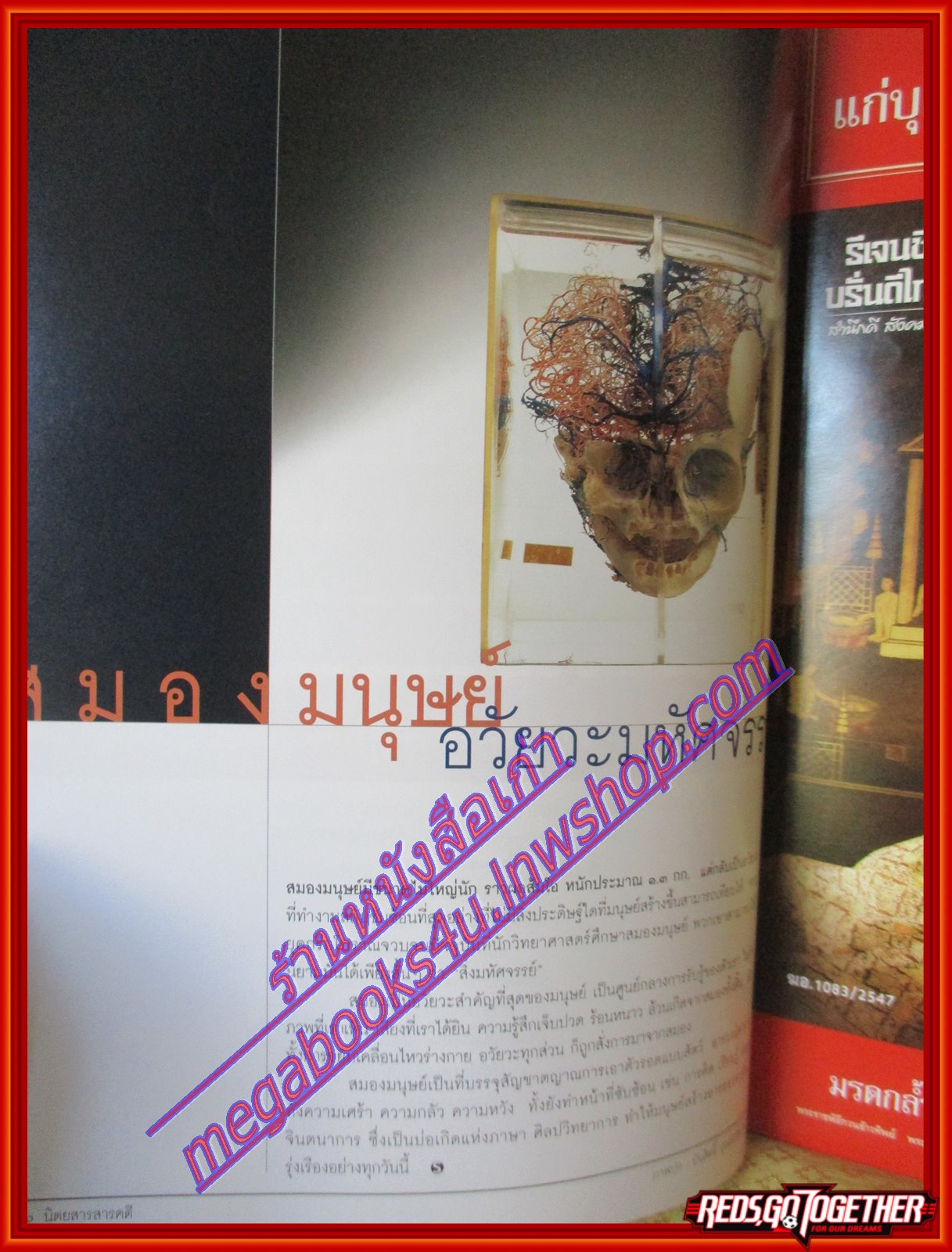 นิตยสารสารคดี ฉบับที่235 ปีที่20 2547 สมอง ออร์เคสตร้าเด็ก ดูนกในพม่า