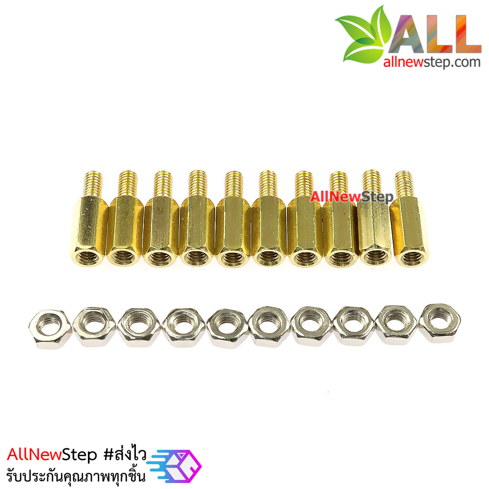 น็อตทองเหลืองตัวผู้และตัวเมีย 3mm 10+6mm Pillars Nut M3 10 คู่