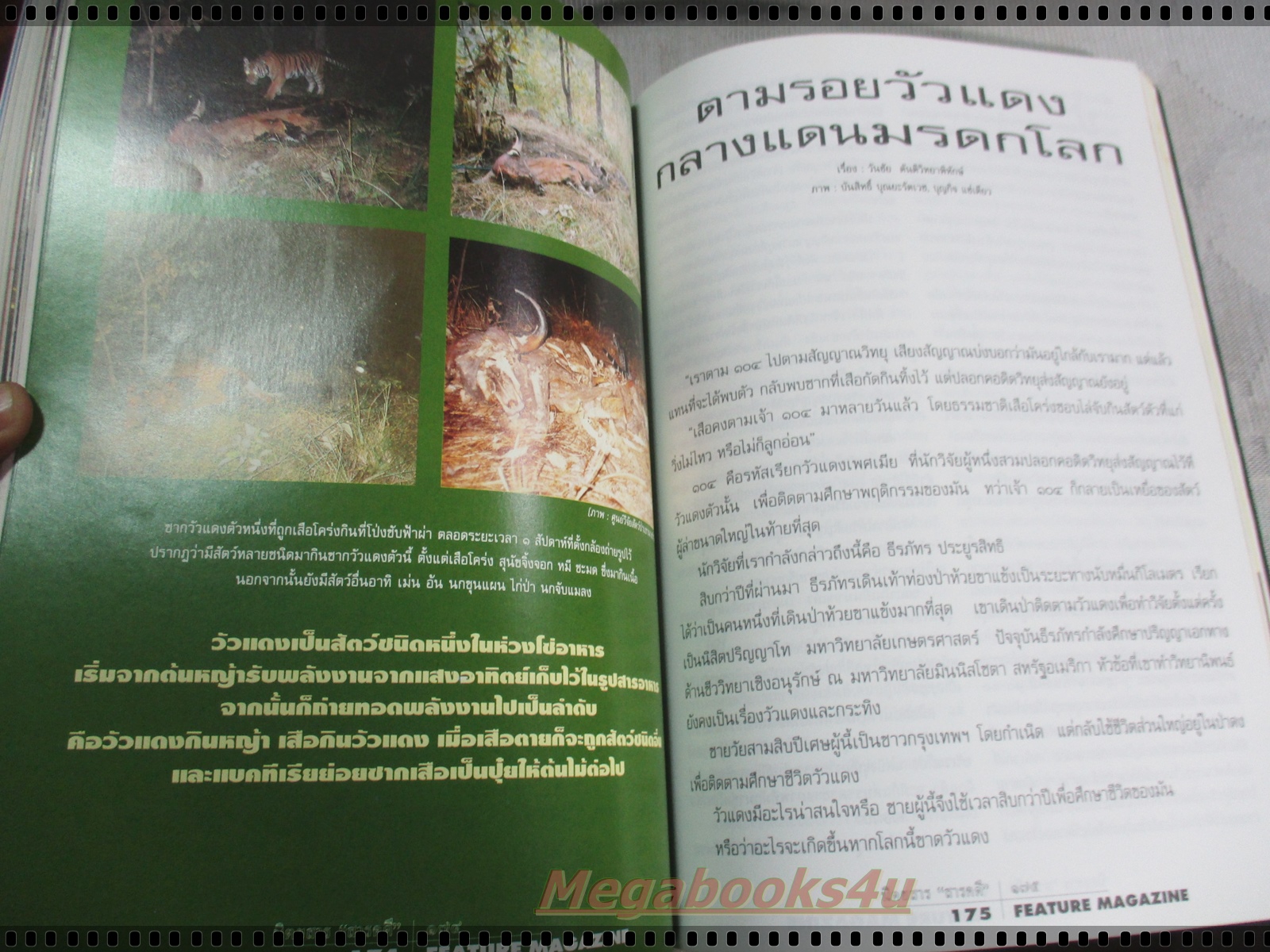 นิตยสารสารคดี ฉบับที่121 ปีที่11 มีนาคม 2538; เครื่องจับปลา,คนหูหนวก,วัวแดง,ปทุมธานี