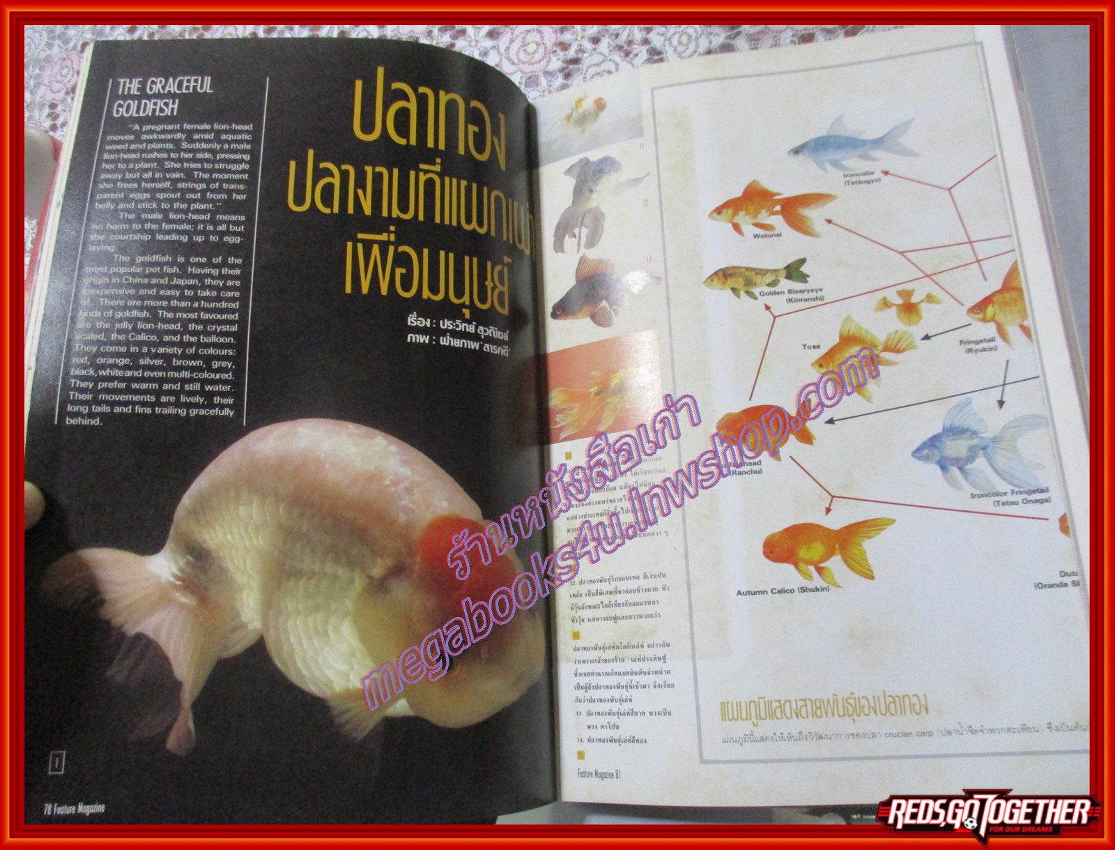 นิตยสารสารคดี ฉบับที่030 สิงหาคม 2530 ปลาทอง,ทุ่งใหญ่นเรศวร,ญี่ปุ่น,สัมภาษณ์พลเอกชวลิต ยงใจยุทธ,