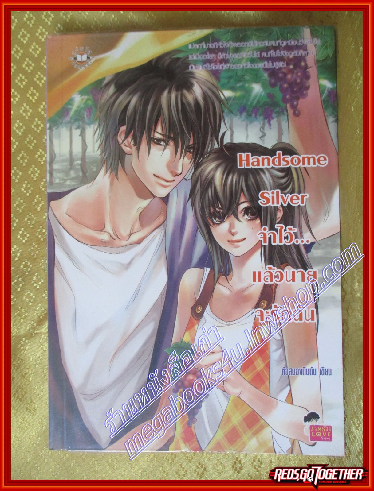Handsome Silver จำไว้...แล้วนายจะรักฉัน โดย หัวสมองตีบตัน