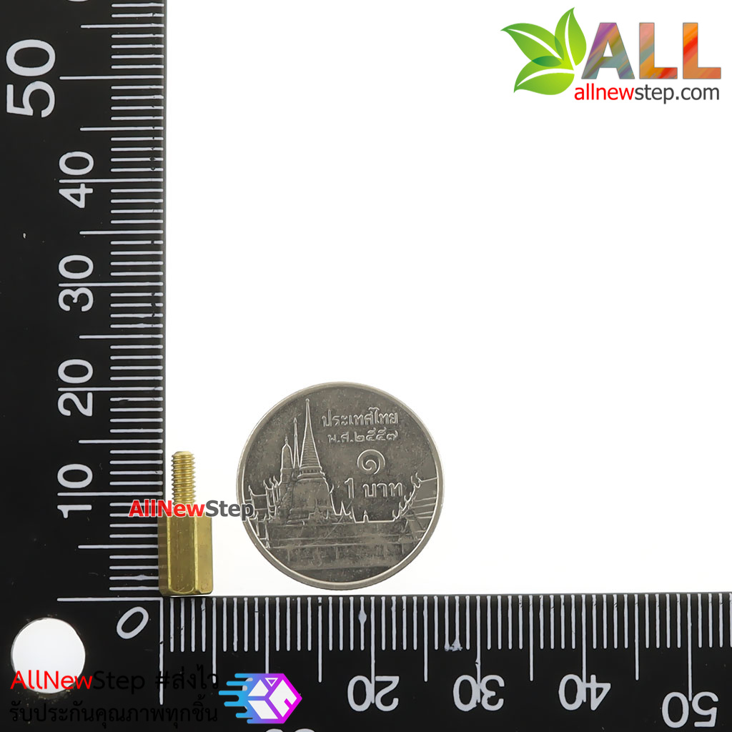 Nut screw m2.5 น็อตสกรู M2.5 ขนาด 8+6mm
