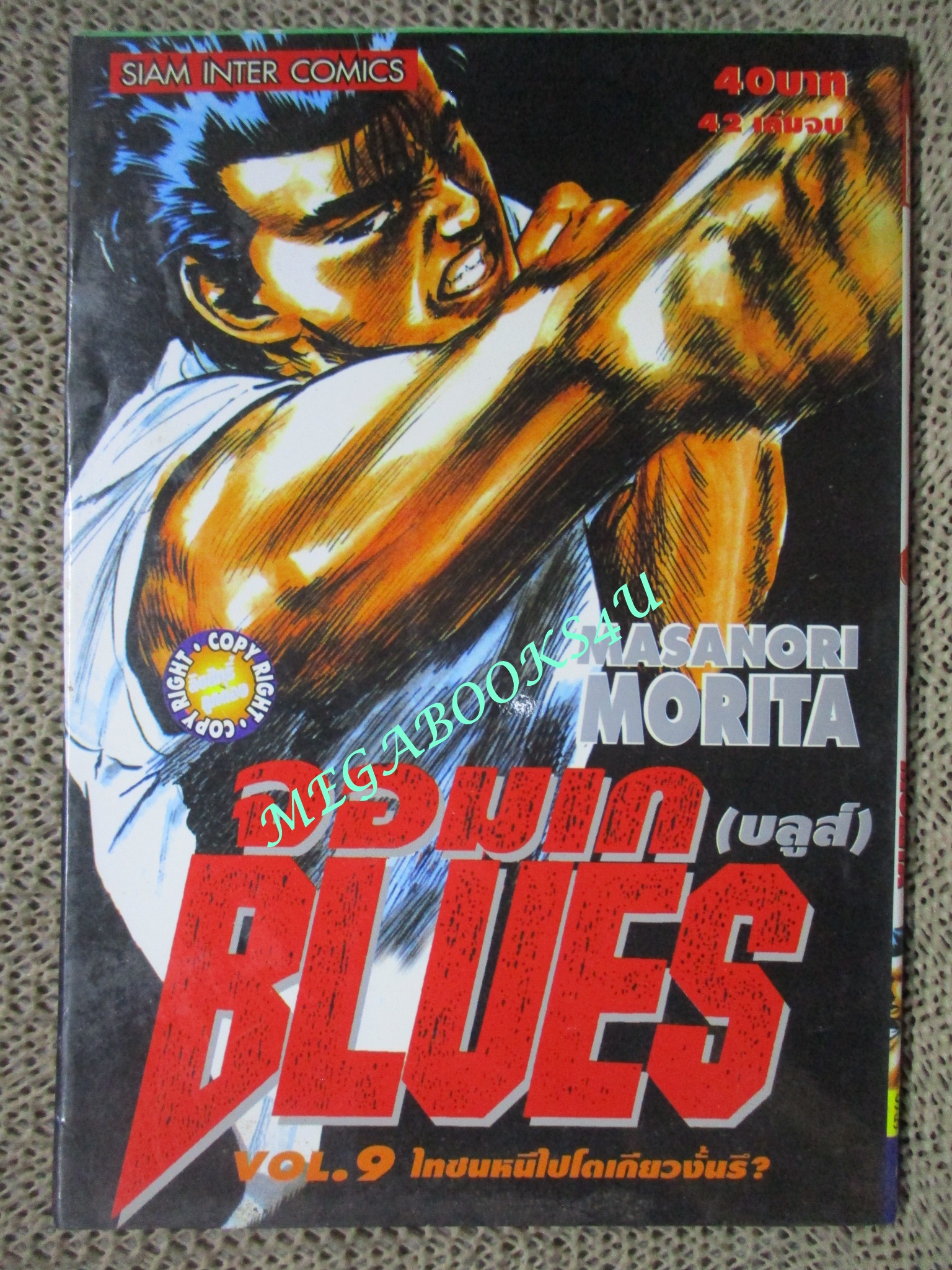 การ์ตูนบ้าน จอมเก BLUES (บูลส์) เล่ม09 / MASANORI MORITA สนพ.สยาม