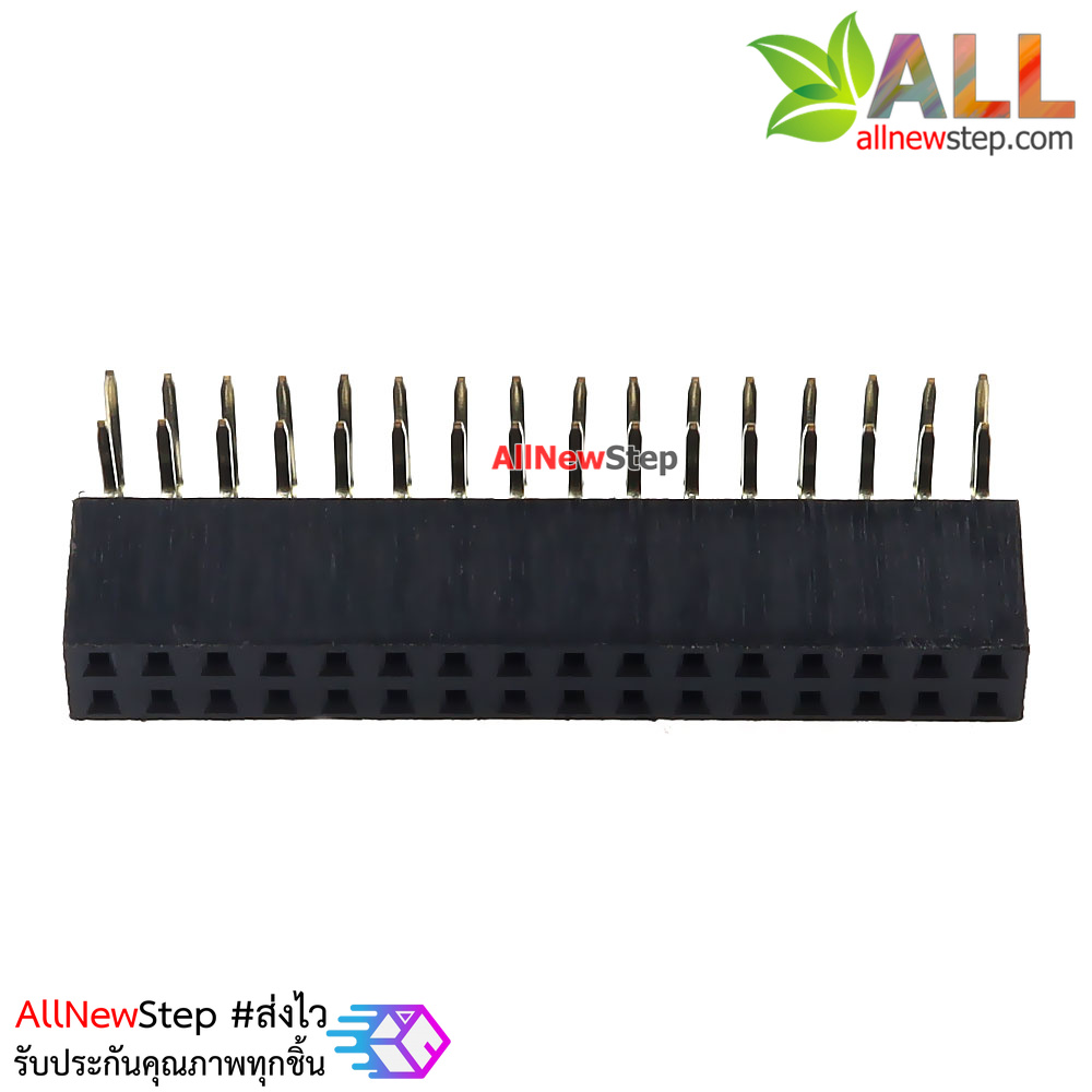 ขาก้างปลาตัวเมียแบบฉาก 2x16 ขา Double Row Hole Jack 2x16 PIN Header 2.54mm