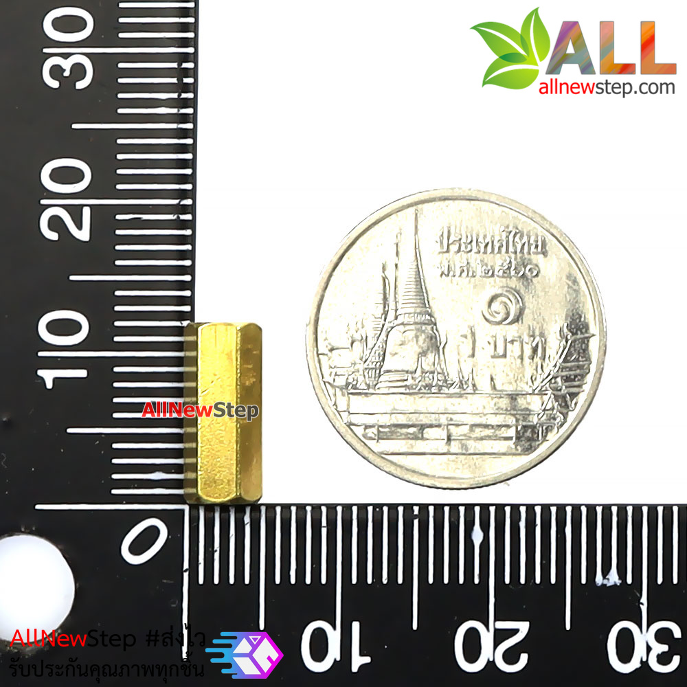 น็อต M2.5 ยาว 12mm