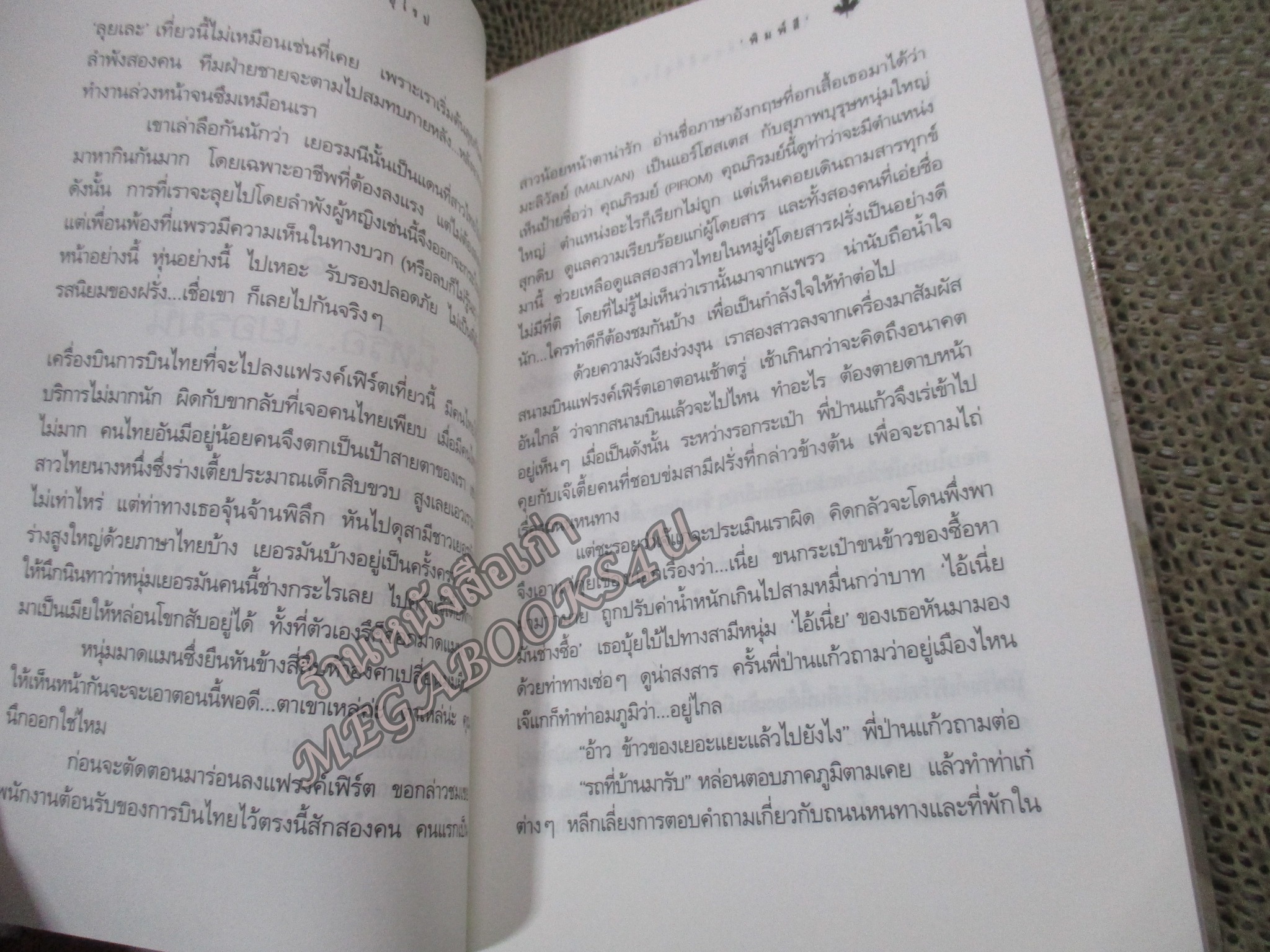 ใบไม้เปลี่ยนสีที่ยุโรป / พิมพ์สี / แพรว / รูปเล่มดี สันกระดาษเปื้อนฝุ่นเล็กน้อย (สารคดีท่องเที่ยว)