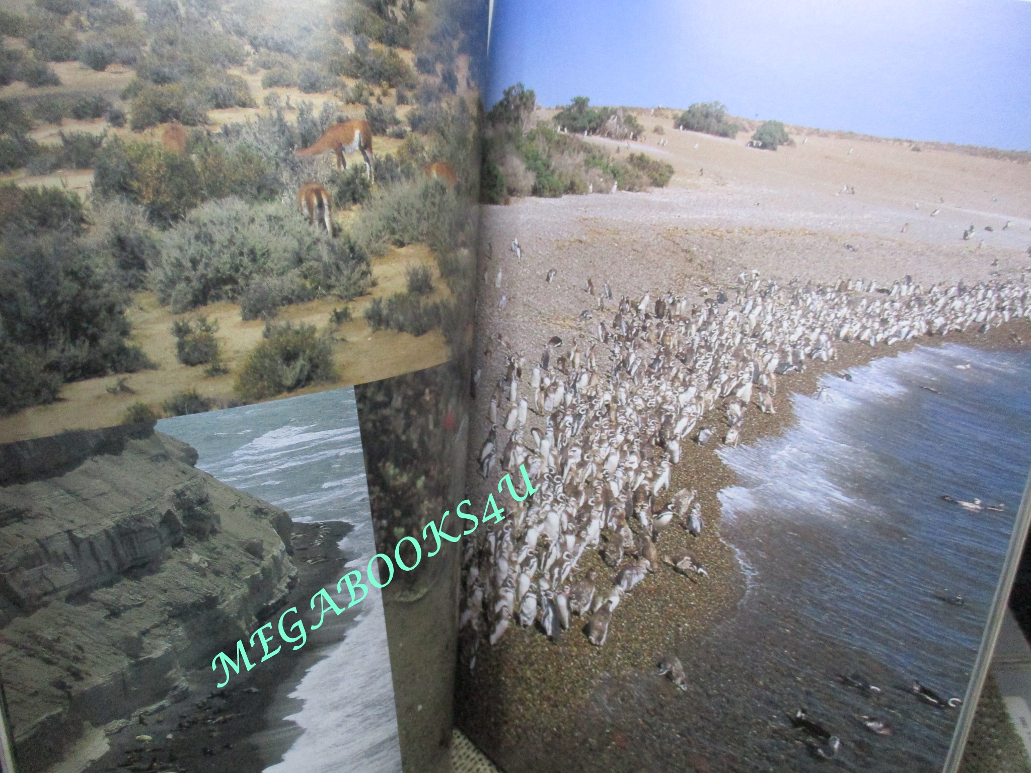 นิตยสารสารคดี ฉบับที่187 ก.ย.2543,ลิตเทิลอินเดีย,สาหร่าย,ทอมัส ฮอบส์,