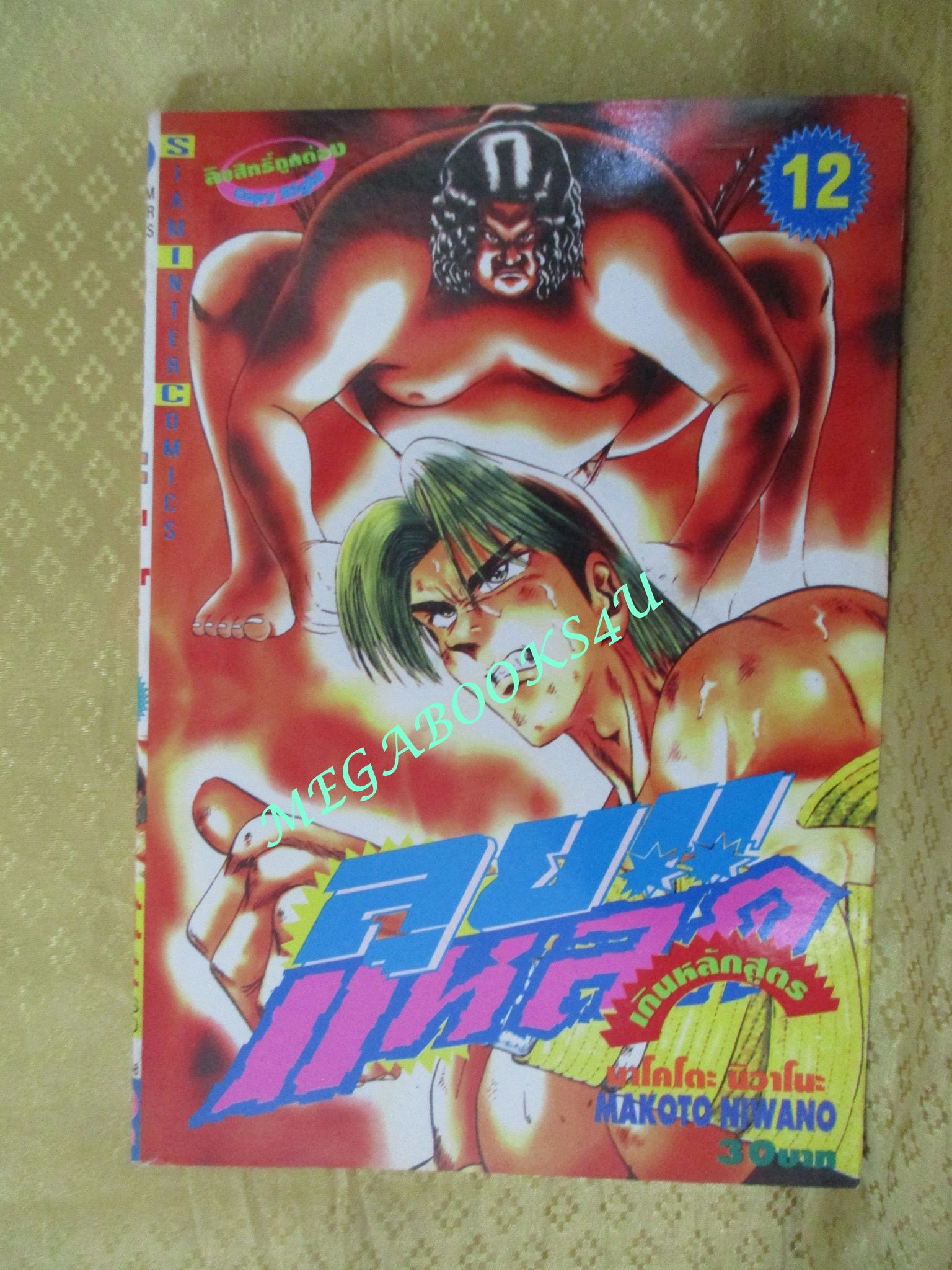 การ์ตูนบ้าน ลุยแหลกเกินหลักสูตร เล่ม 2,5,7,10,11,12,13,14,15 สนพ.สยามฯ (ขายแยกเล่ม)