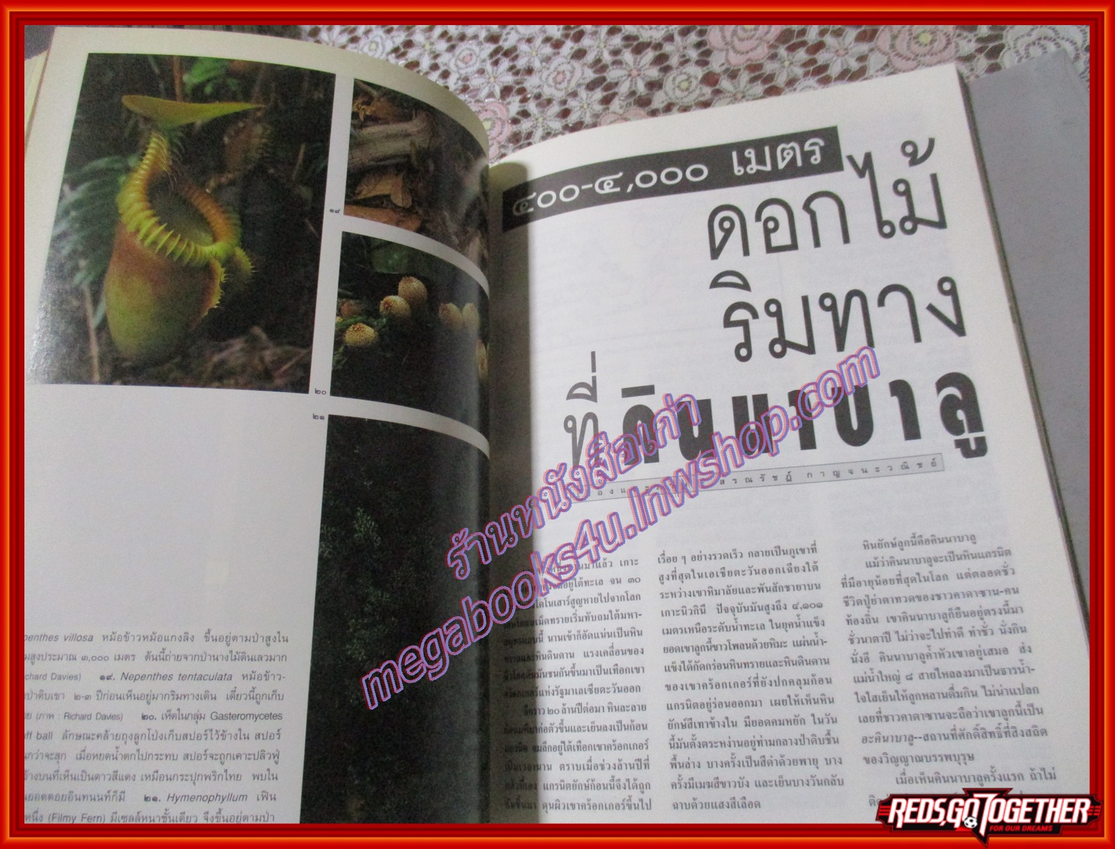 นิตยสารสารคดี ฉบับที่130 ธันวาคม 2538 น้ำท่วมไทยปี2538 คินนาบาลู บ้านสายสัมพันธ์ กาฬสินธุ์