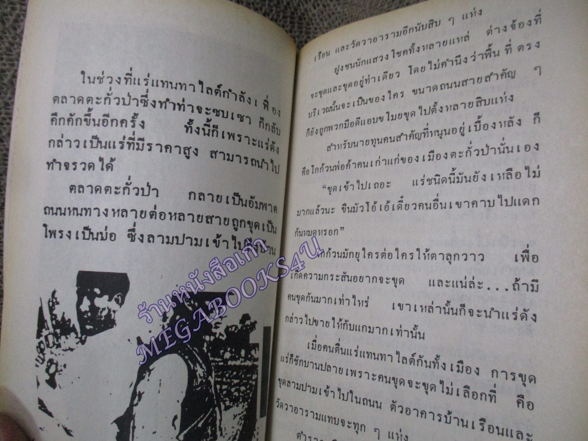 เด็ดปีกเจ้าพ่ออันดามัน โดย ปาน สีแดง