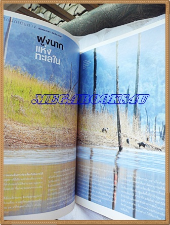 นิตยสารสารคดี ฉบับที่238 เพมาโค ตามรอยเพชรพระอุมา,หมอรักษาพิษงู,ฝูงนากแห่งทะเลใน,ตุ๊กตาศิลาจีน,