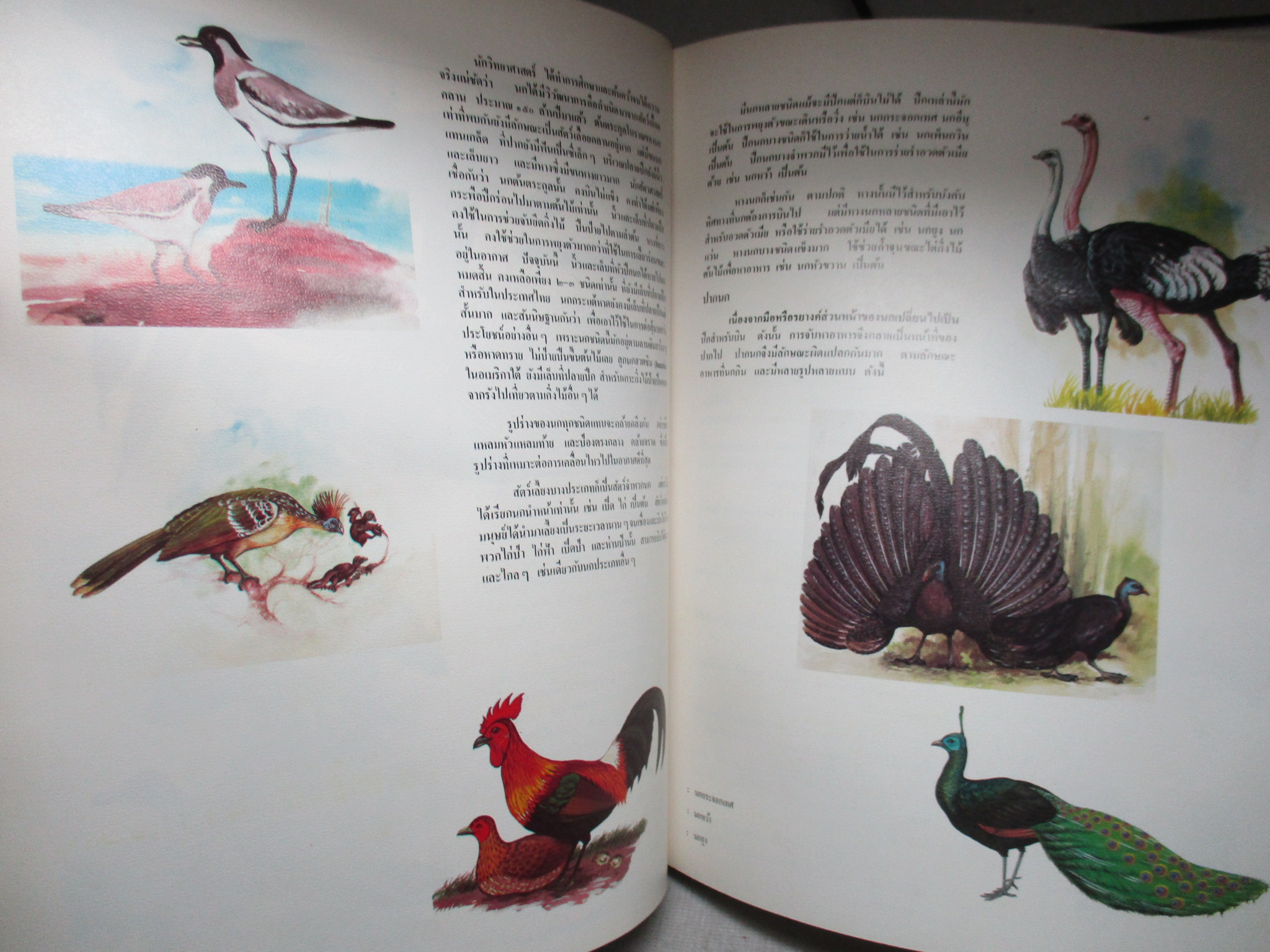 สารานุกรมไทยสำหรับเยาวชน เล่ม01 โดยพระราชประสงค์ในพระบาทสมเด็จพระเจ้าอยู่หัว