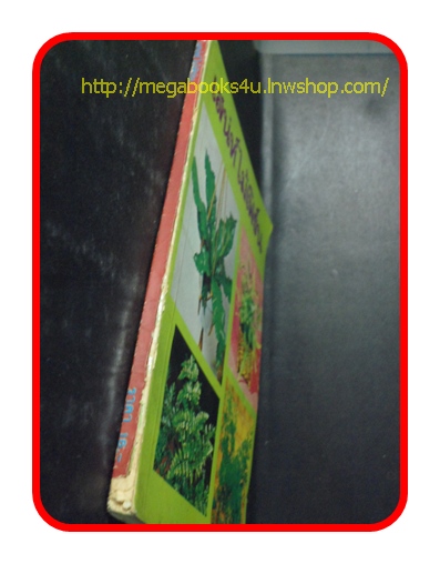 หนังสือการปลูกไม้ดอก ไม้ประดับ, เสน่ห์ไม้เฟิร์น,