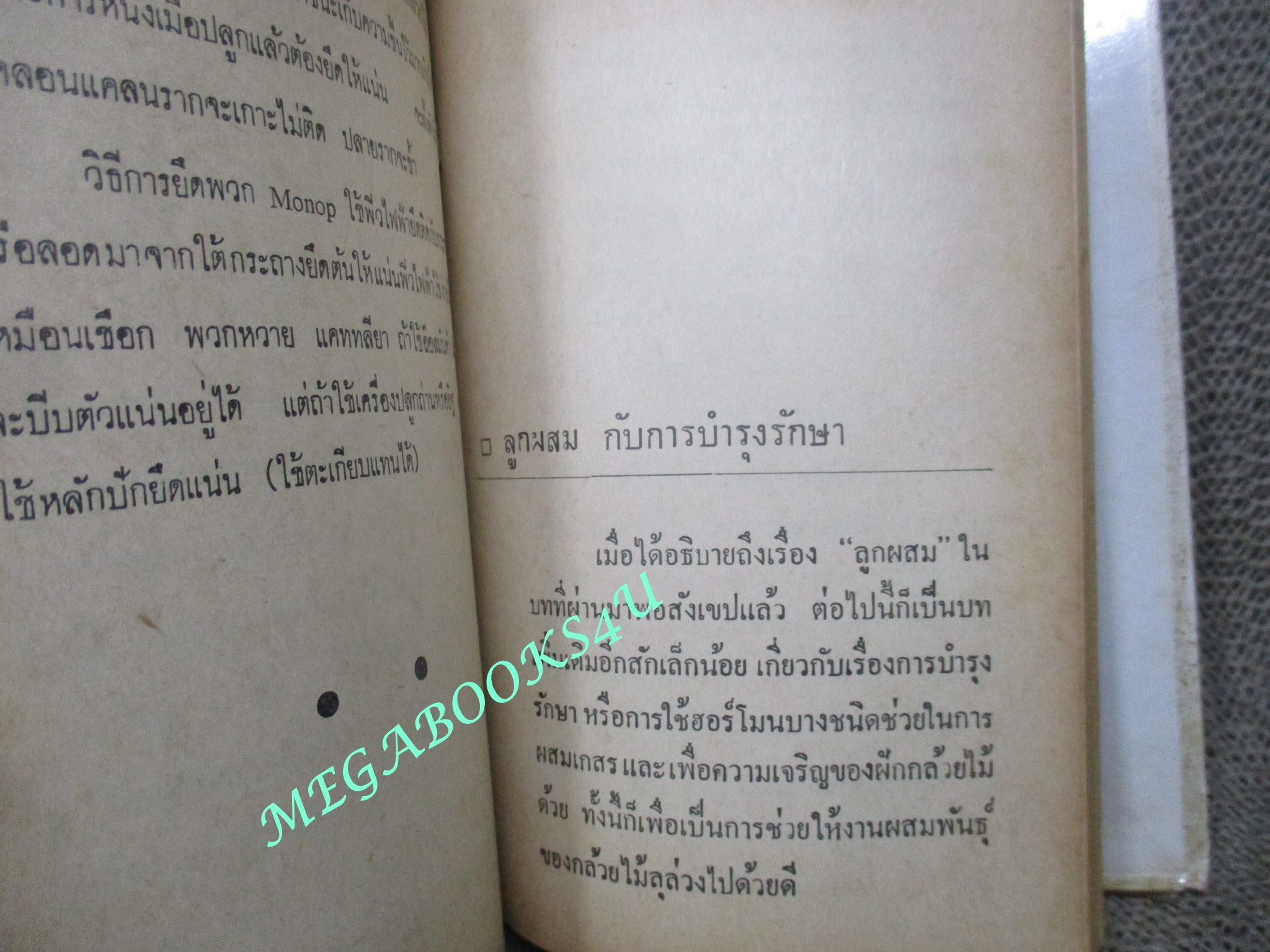 คู่มือผสมพันธุ และปลูกเลี้ยงกล้วยไม้ ฉบับสมบูรณ์ โดย ระพีภัทร เล่มเดียวจบ (หนังสือบ้าน มือสอง) (สภาพ85-95%)