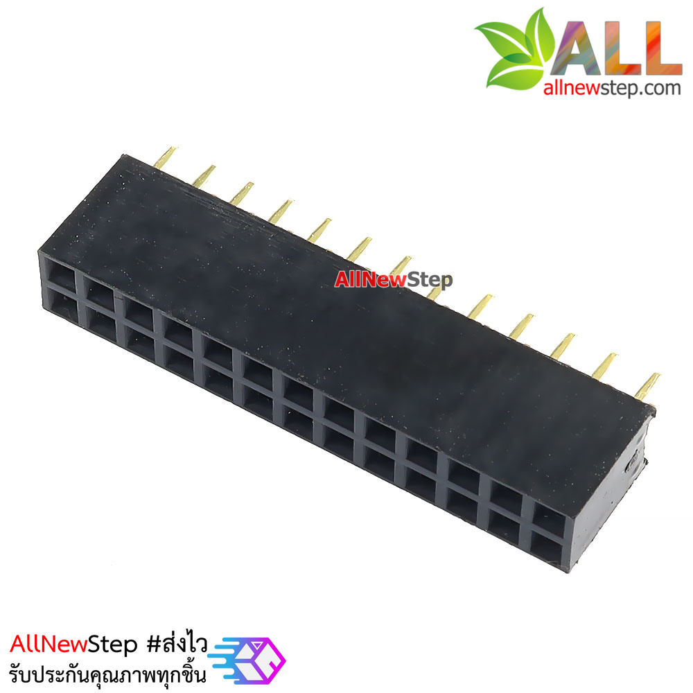 2.54mm pitch female double row female socket 2x13 pin