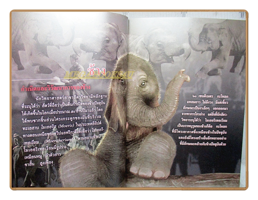 สารานุกรมไทยสำหรับเยาวชนฉบับเสริมการเรียนรู้ เล่ม12 โดยพระราชประสงค์ในพระบาทสมเด็จพระเจ้าอยู่หัว