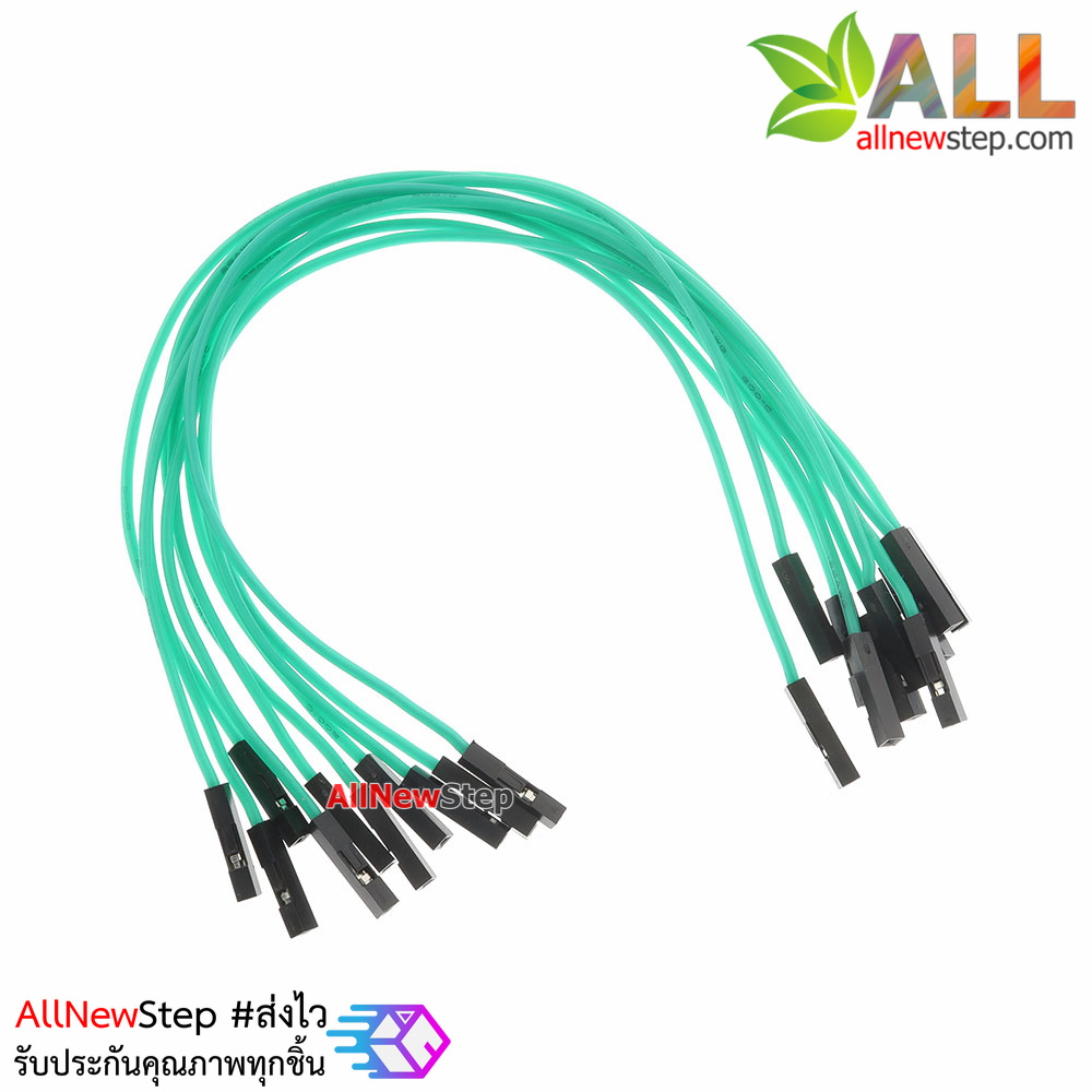 สายไฟจัมเปอร์ 20cm สาย jumper 20 cm จำนวน 10 เส้น เมีย-เมีย สีเขียว