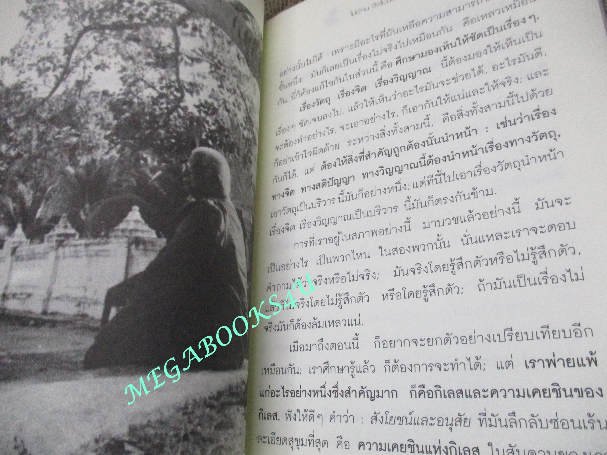 ไม่มีคน จึงไม่มีตาย ไม่มีเกิด / พุทธทาสภิกขุ / ตำหนิ ปกหลังมีรอยพับ