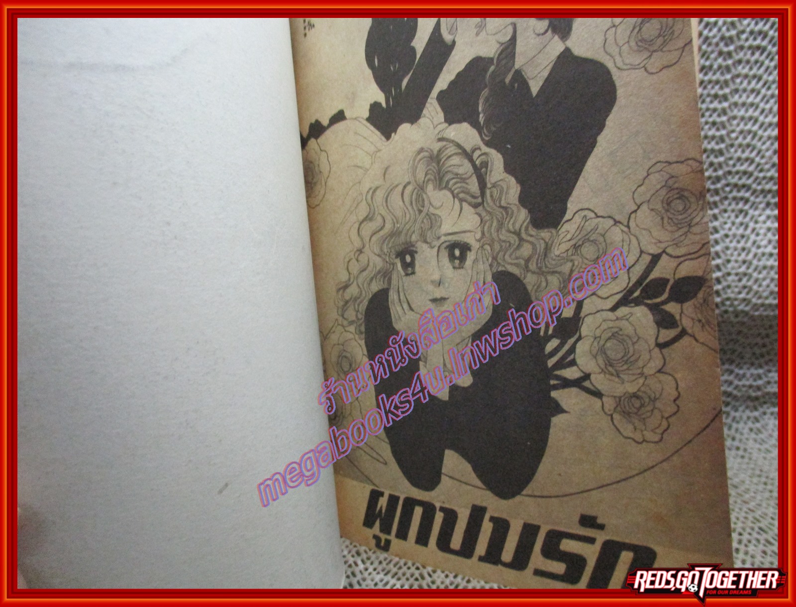 การ์ตูนบ้าน ผูกปมรัก เล่มเดียวจบ