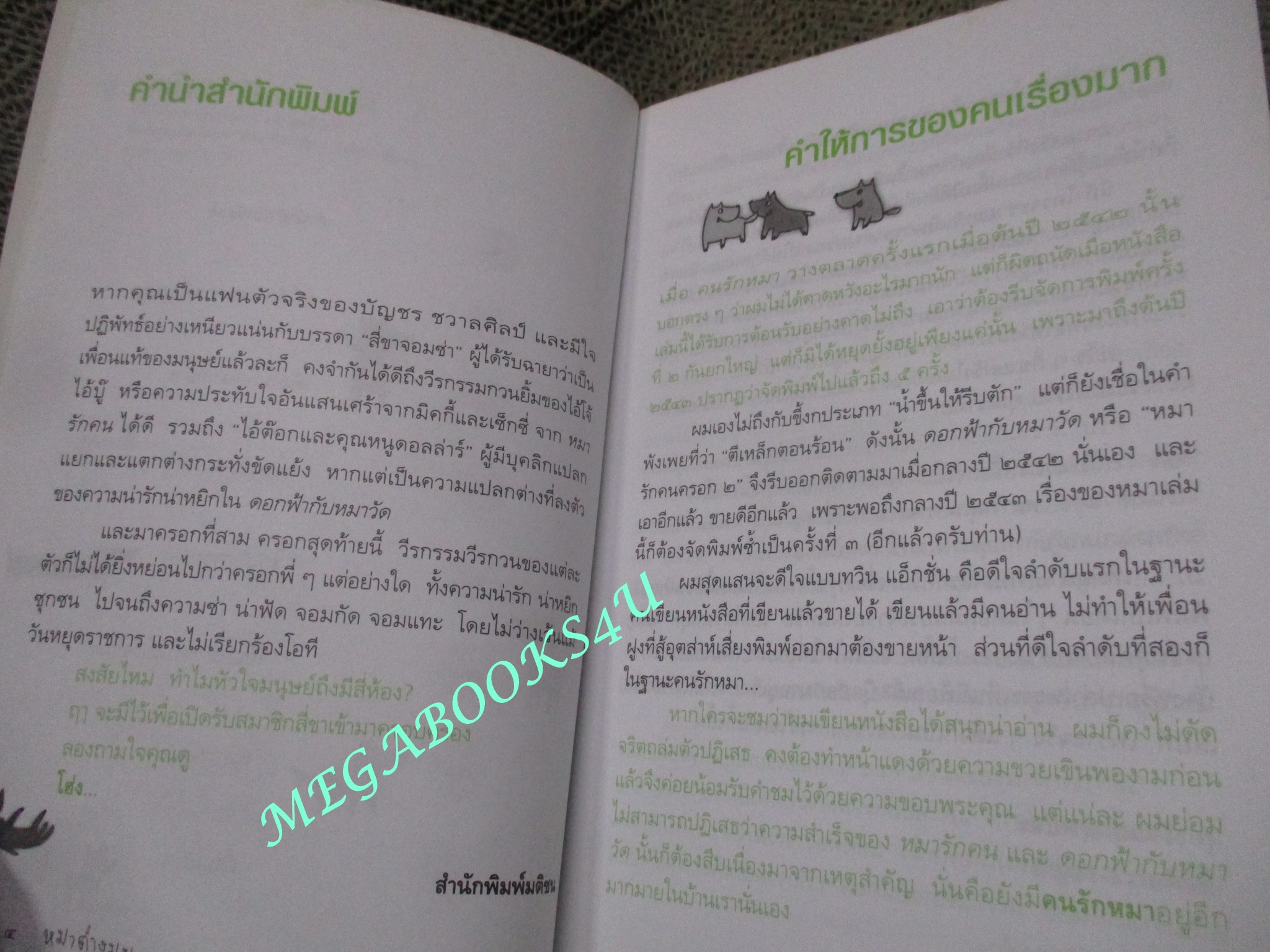 หมาต่างมุม / บัญชร ชลาลศิลป์