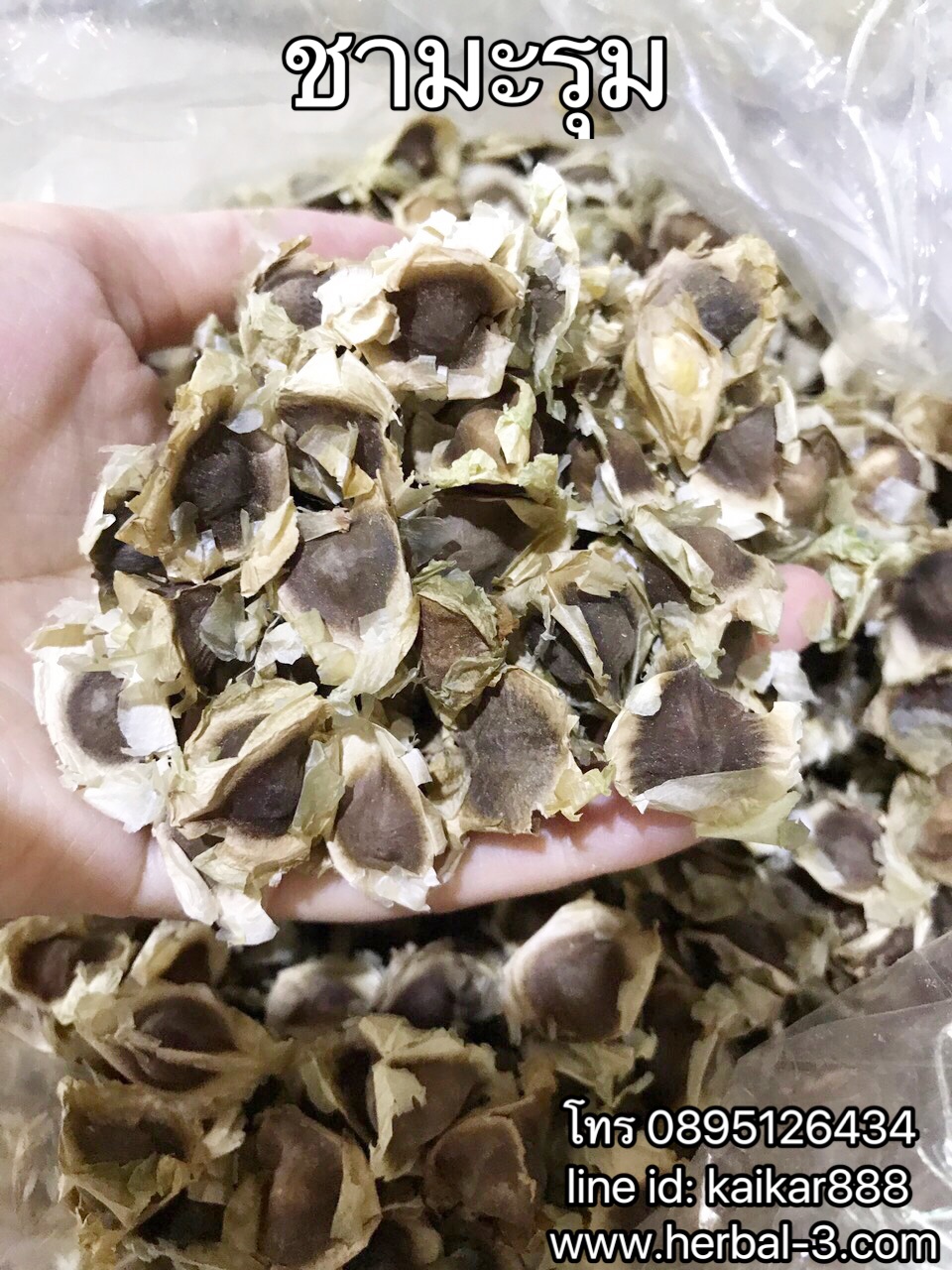 ชามะรุมอบแห้ง (กิโล)