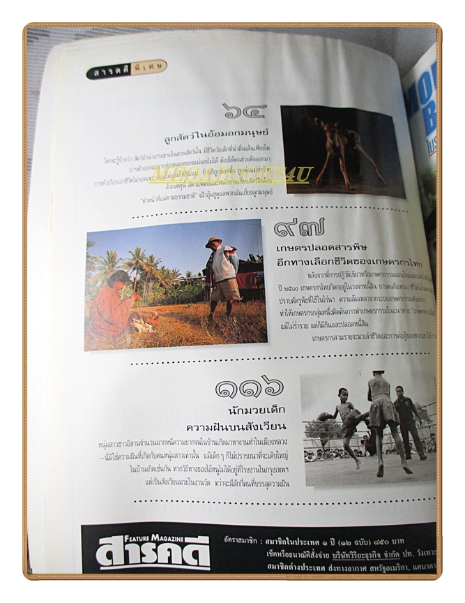 นิตยสารสารคดี ฉบับที่155 ปีที่13 2541 ลูกสัตว์ เกษตรทางเลือก นักมวยเด็ก สภาพพอใช้ มีคราบน้ำ