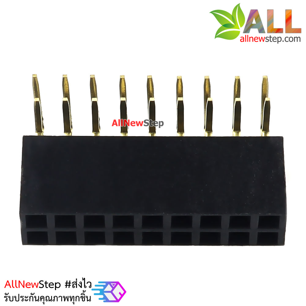 ขาก้างปลาตัวเมียแบบฉาก 2x9 ขา Double Row Hole Jack 2x9 PIN Header 2.54mm