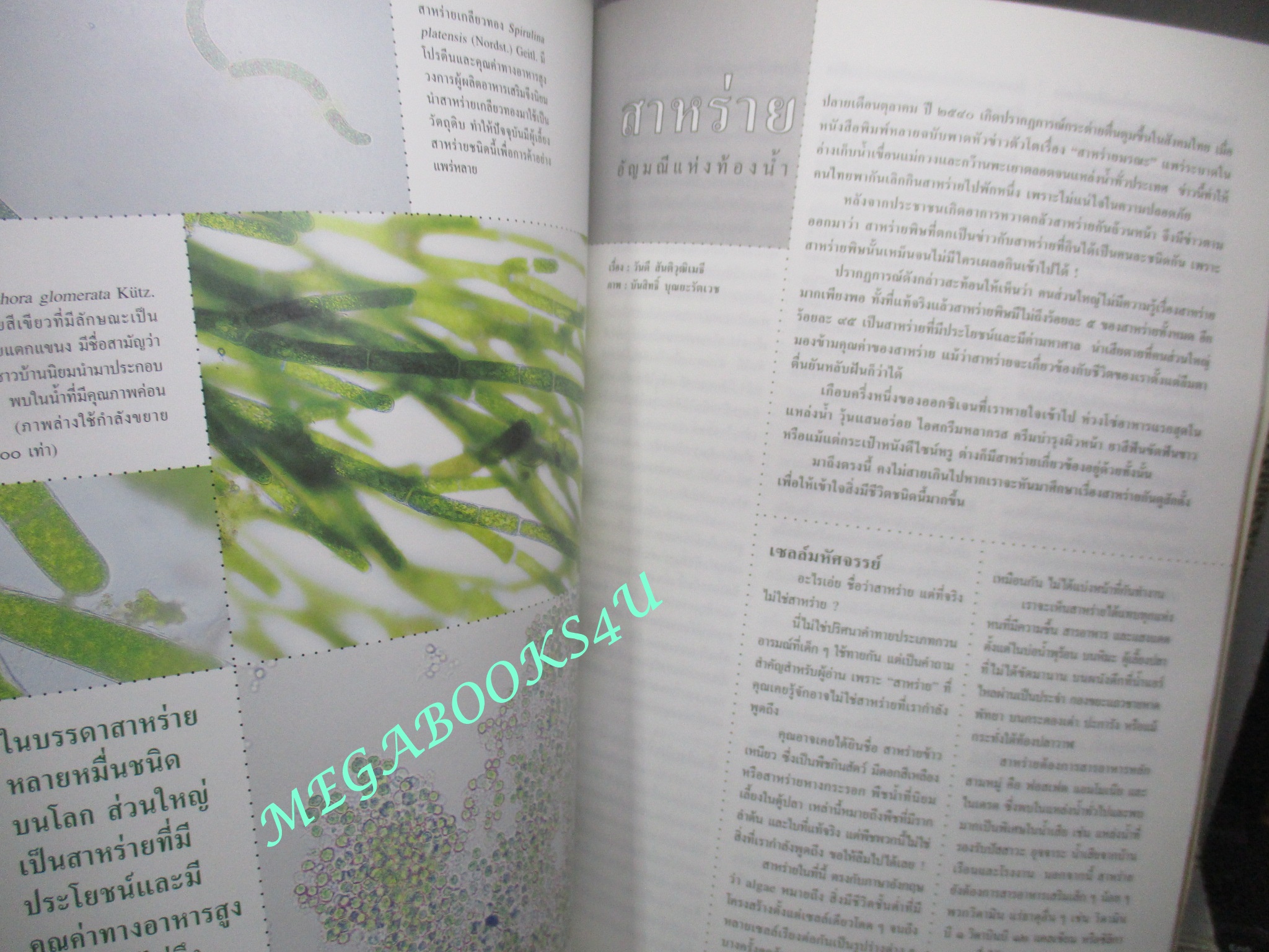 นิตยสารสารคดี ฉบับที่187 ก.ย.2543,ลิตเทิลอินเดีย,สาหร่าย,ทอมัส ฮอบส์,