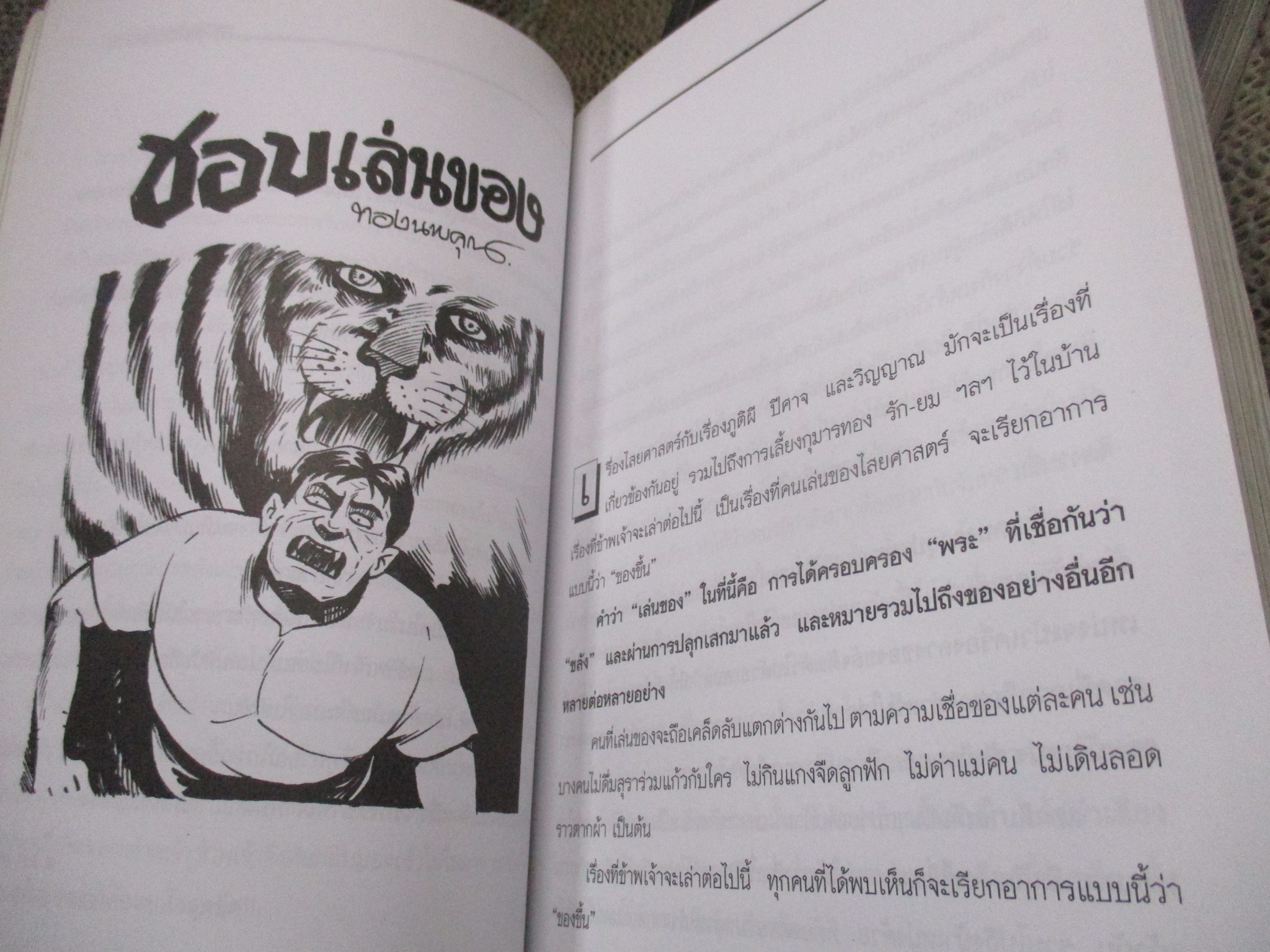 เมื่อข้าพเจ้าเจอผี เล่ม 2/3 โดย I.S.SONGHITS / สภาพปานกลาง