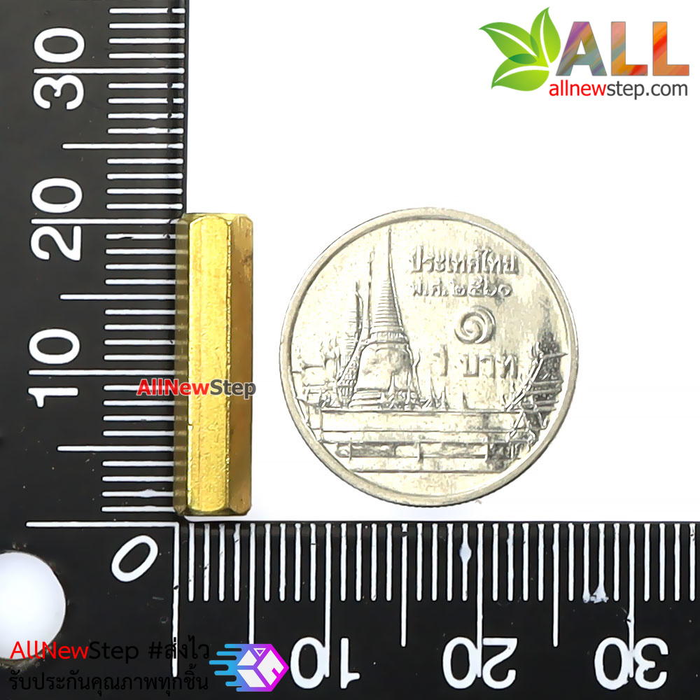 น็อต m2.5 ยาว 20mm