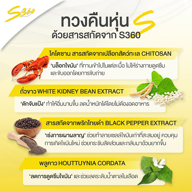 S360 อาหารเสริมลดน้ำหนัก เคล็ดลับหุ่น S ของ ปราง & น้ำตาล S360 อาหารเสริมลดน้ำหนัก เคล็ดลับหุ่น S ของ ปราง & น้ำตาล