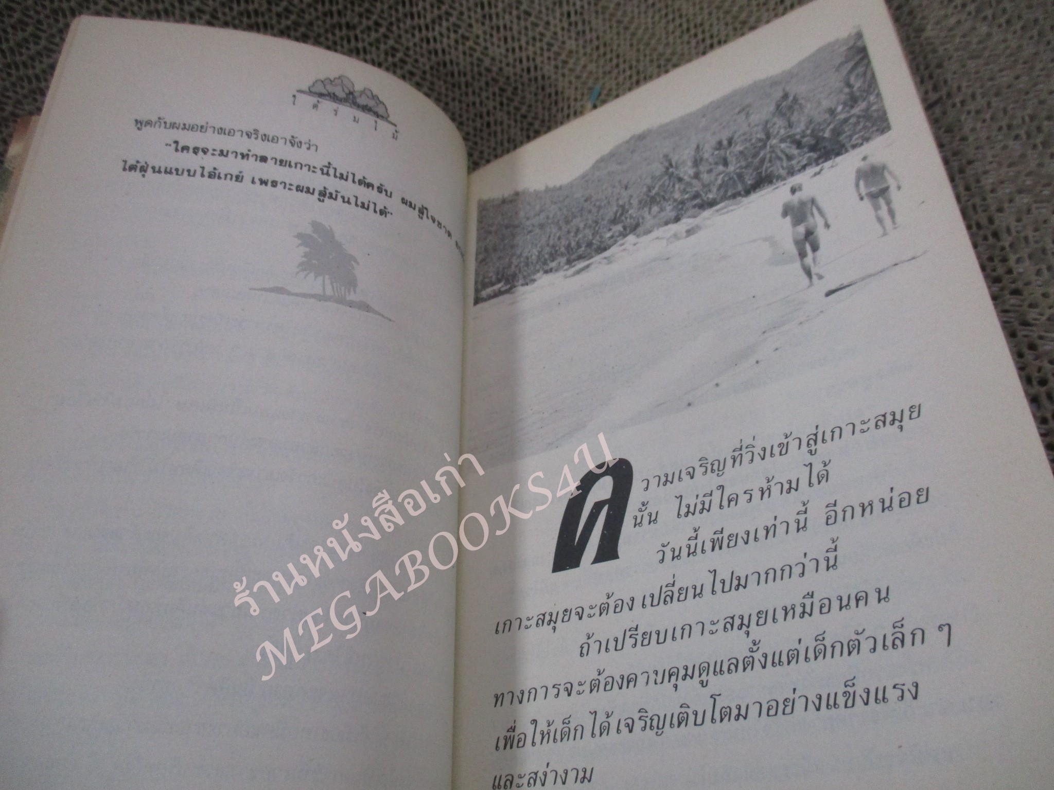 ทะเล ป่า ภูเขา / ไมตรี ลิมปิชาติ / พิมพ์1 2533
