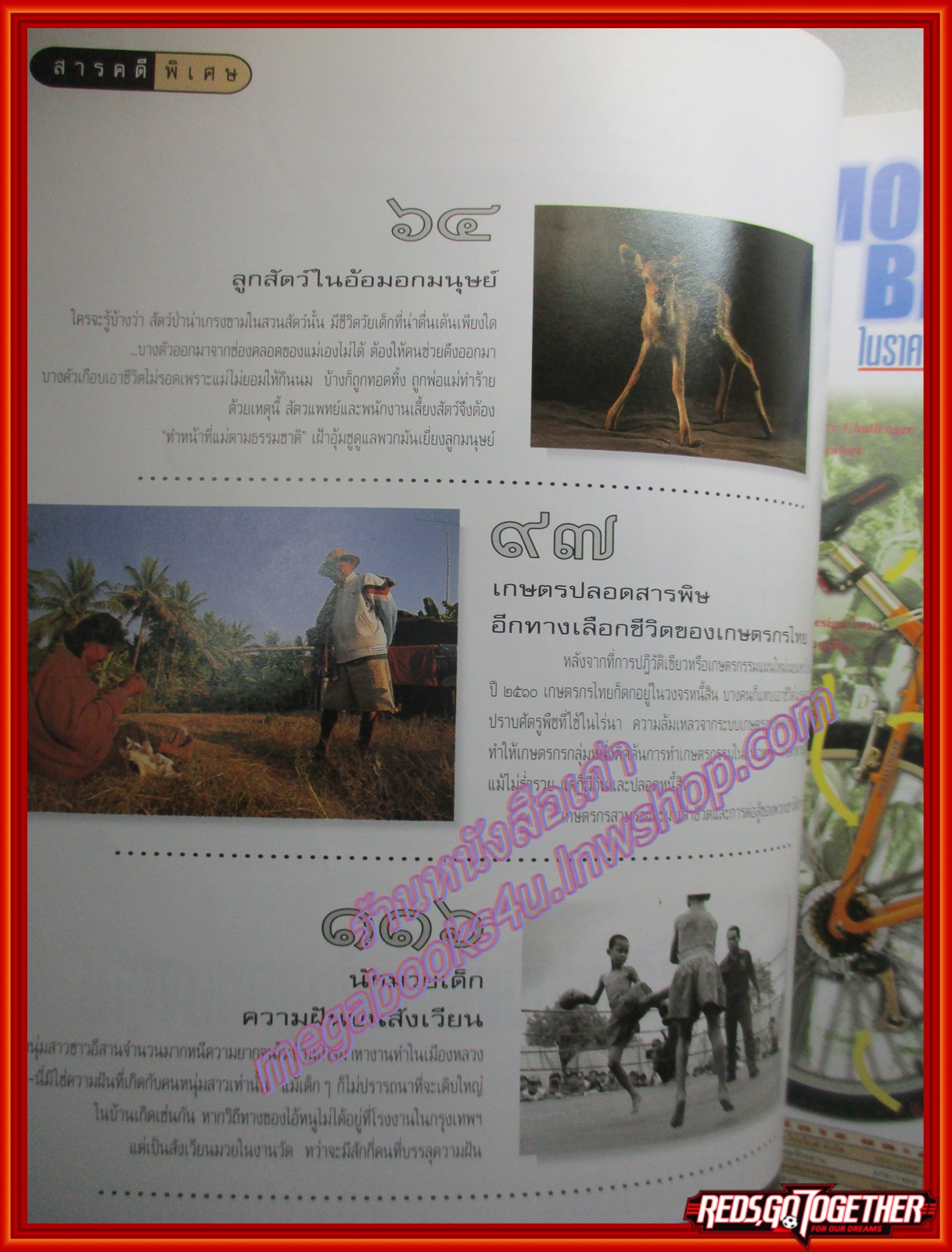 นิตยสารสารคดี ฉบับที่155 ปีที่13 2541 ลูกสัตว์ เกษตรทางเลือก นักมวยเด็ก