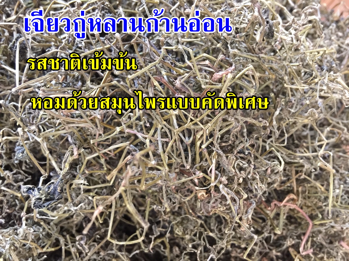 เจียวกู่หลานคัดพิเศษ ก้านอ่อนแท้100% (1 กก.)