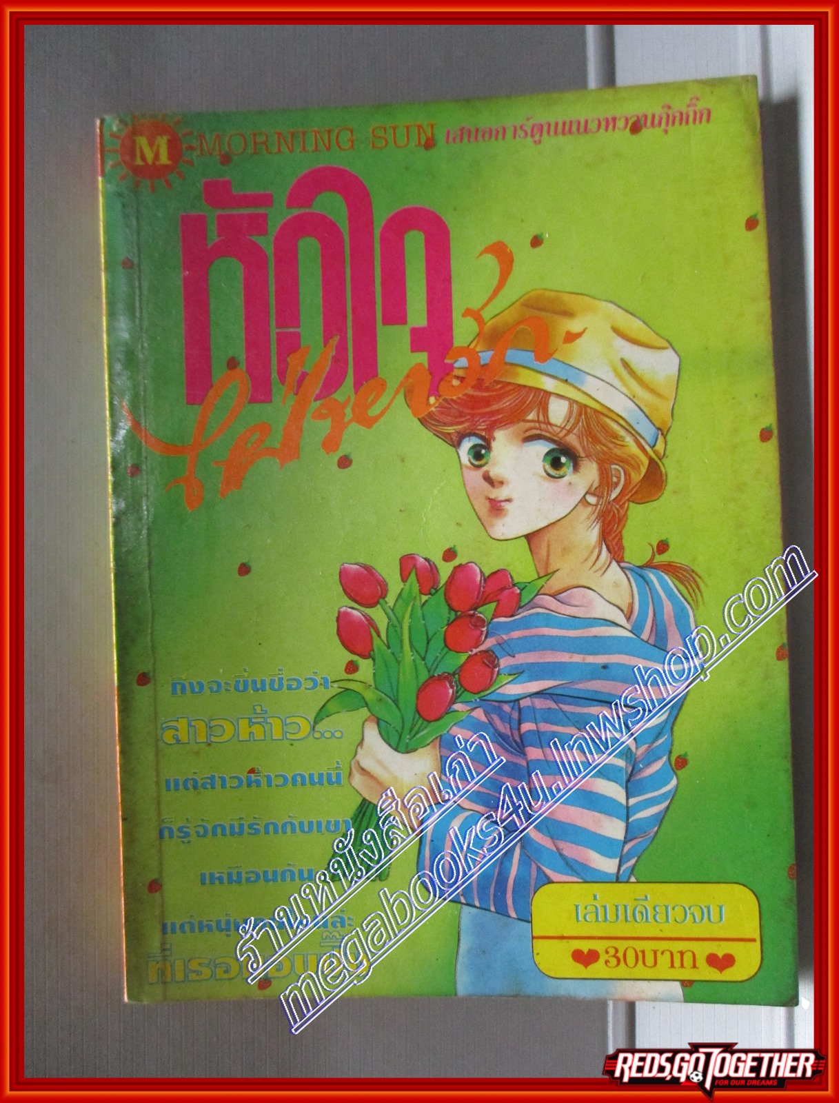 การ์ตูนบ้าน หัวใจใฝ่หารัก โดย *** เล่มเดียวจบ สนพ.MORNING SUN
