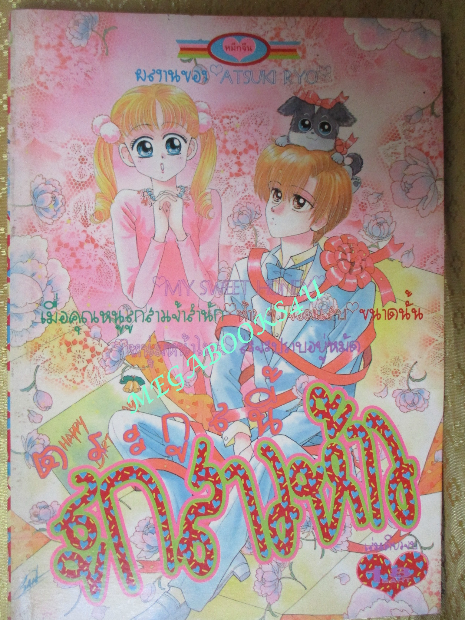การ์ตูนบ้าน ตระกูลนี้ลูกสาวห้าว - ATSUKI RYO / เล่มเดียวจบ / หมึกจีน /