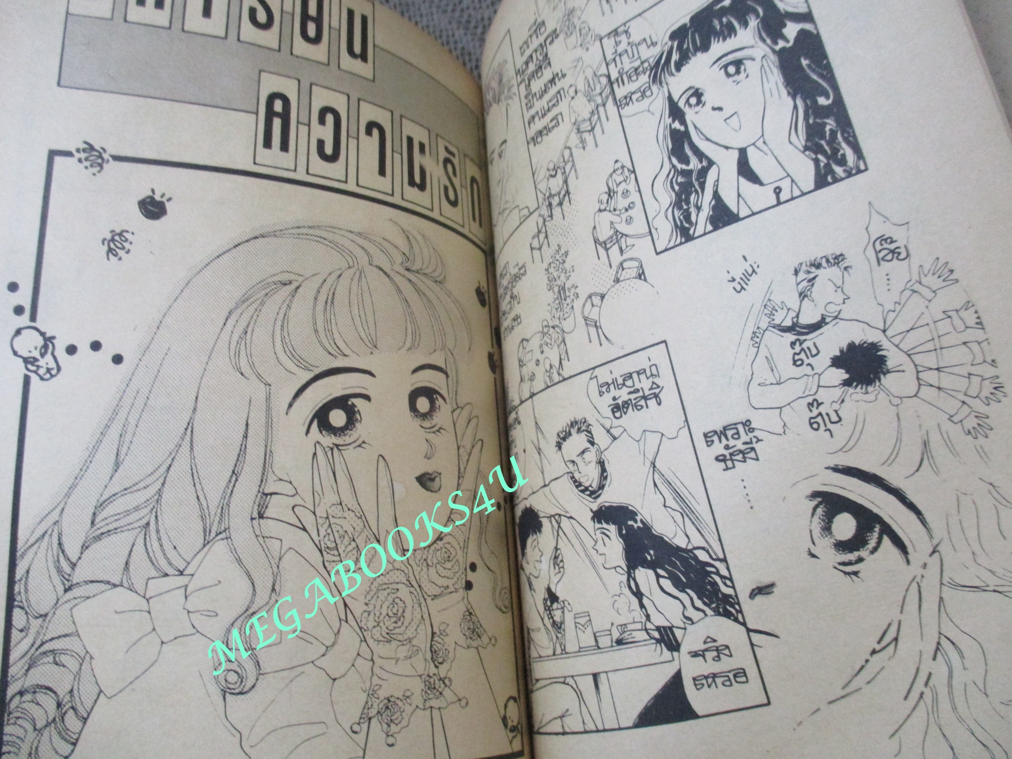 บทเรียนความรัก / TSURUOKA SHIZU / เล่มเดียวจบ / สยามฯ /