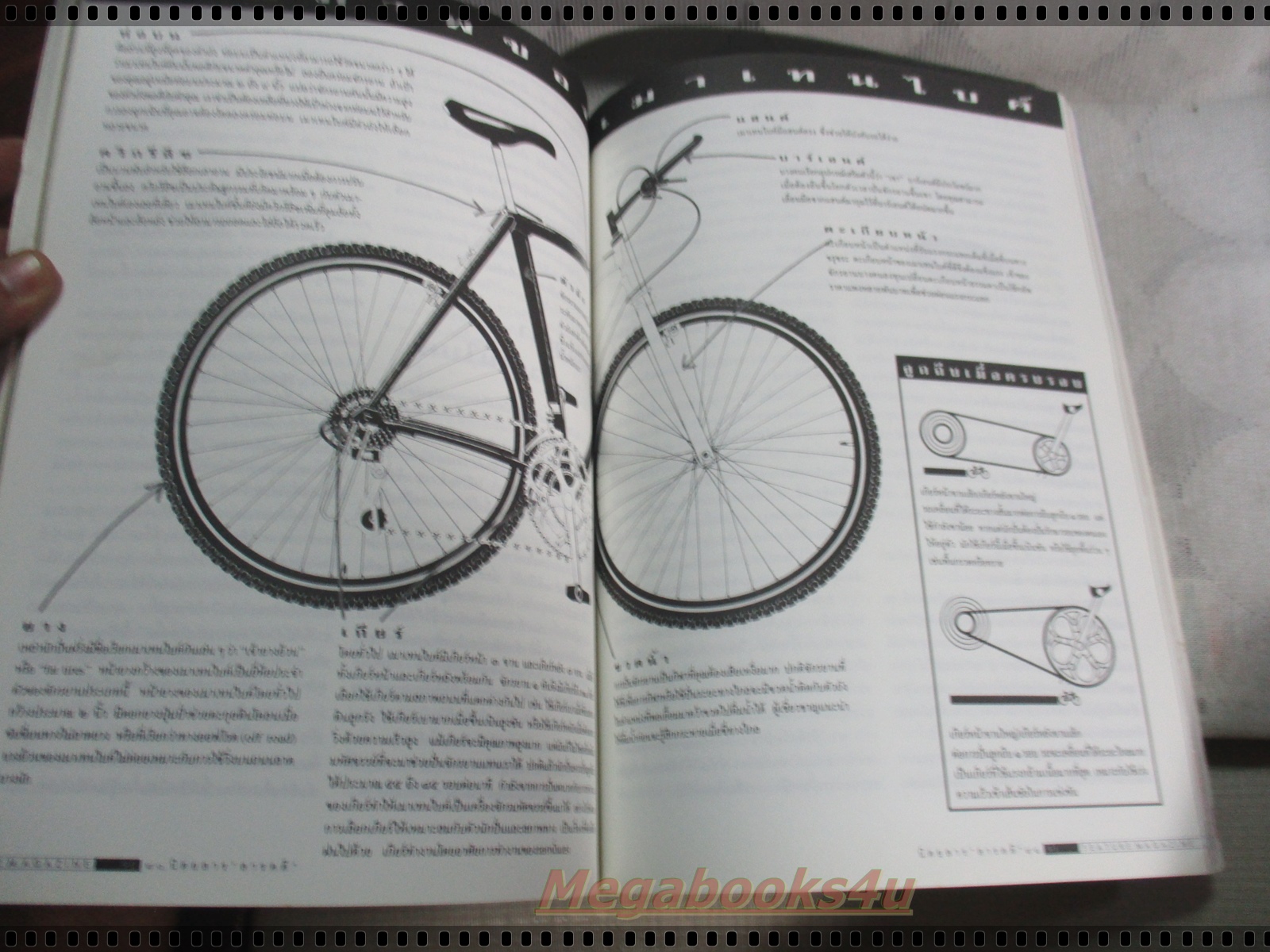 นิตยสารสารคดี ฉบับที่123 พฤษภาคม 2538 เมาเทนไบค์ ตะพาบน้ ม้งอพยพ จังหวัดฉะเชิงเทรา