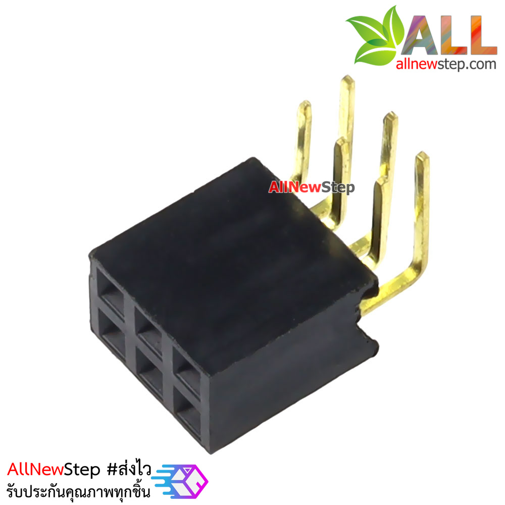 ขาก้างปลาตัวเมียแบบฉาก 2x3 ขา Double Row Hole Jack 2x3 PIN Header 2.54mm
